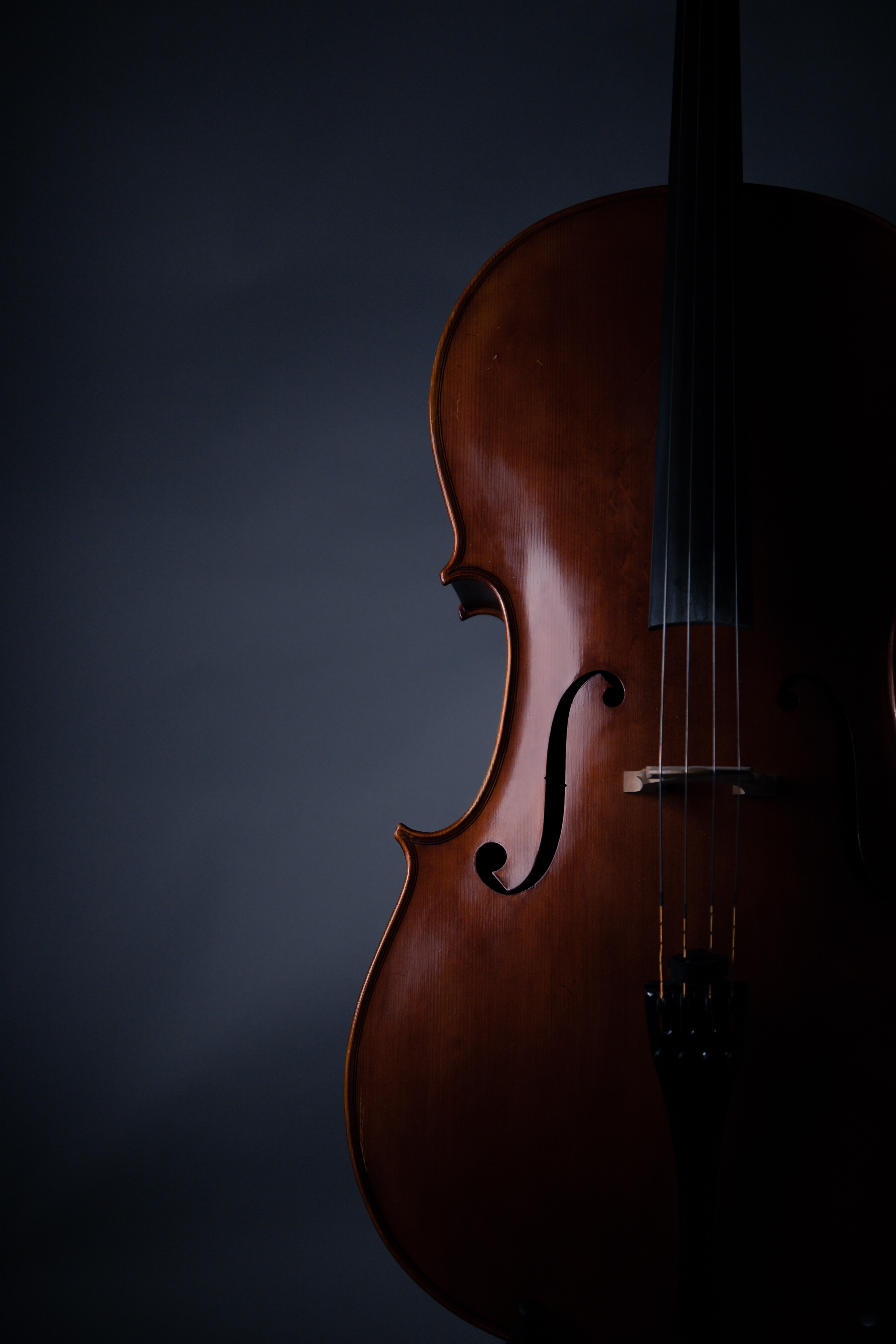 Download Musical Instrument