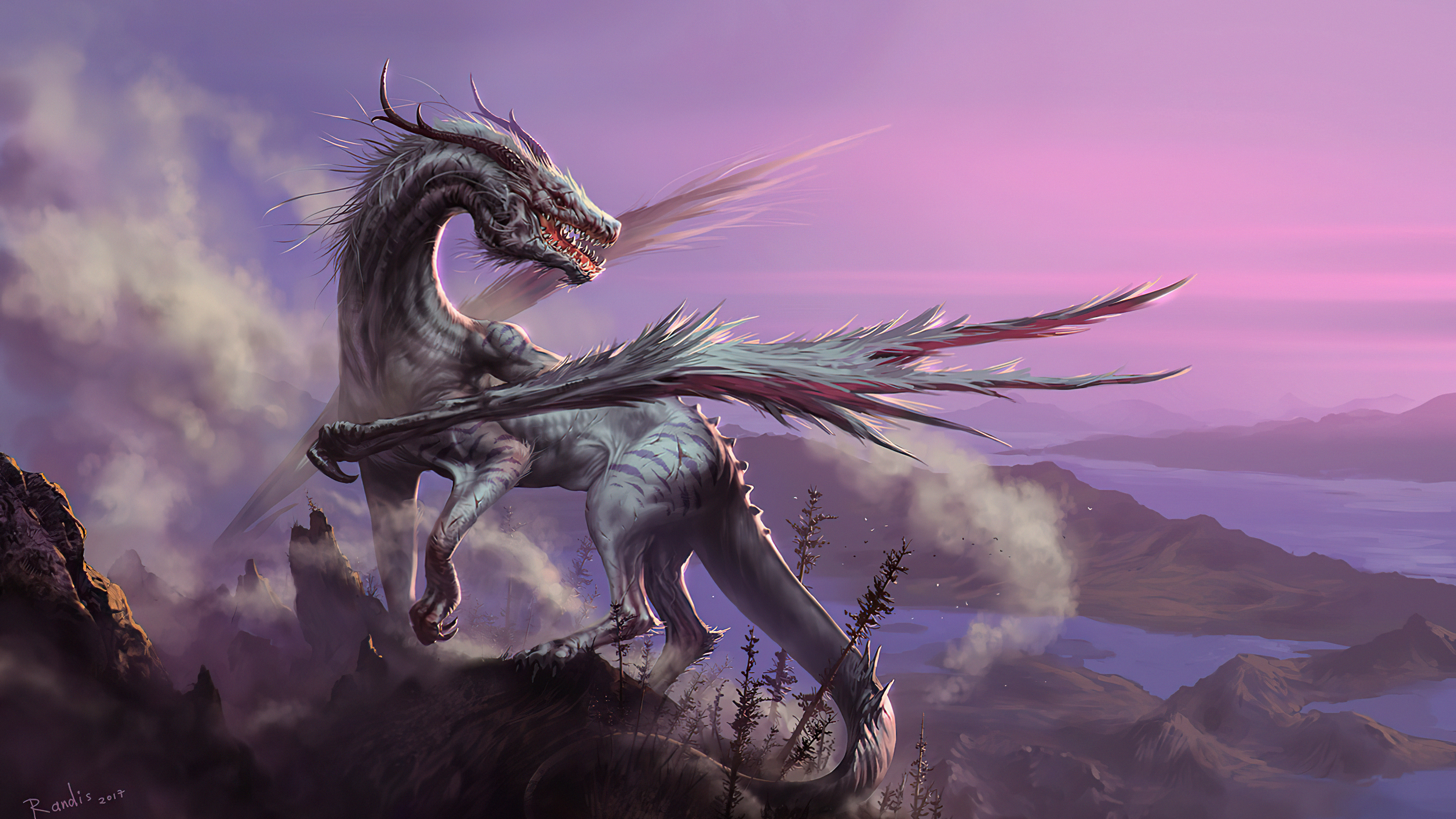 White Dragon 4k Chromebook Pixel HD 4k Wallpaper, Image, Background, Photo and Picture