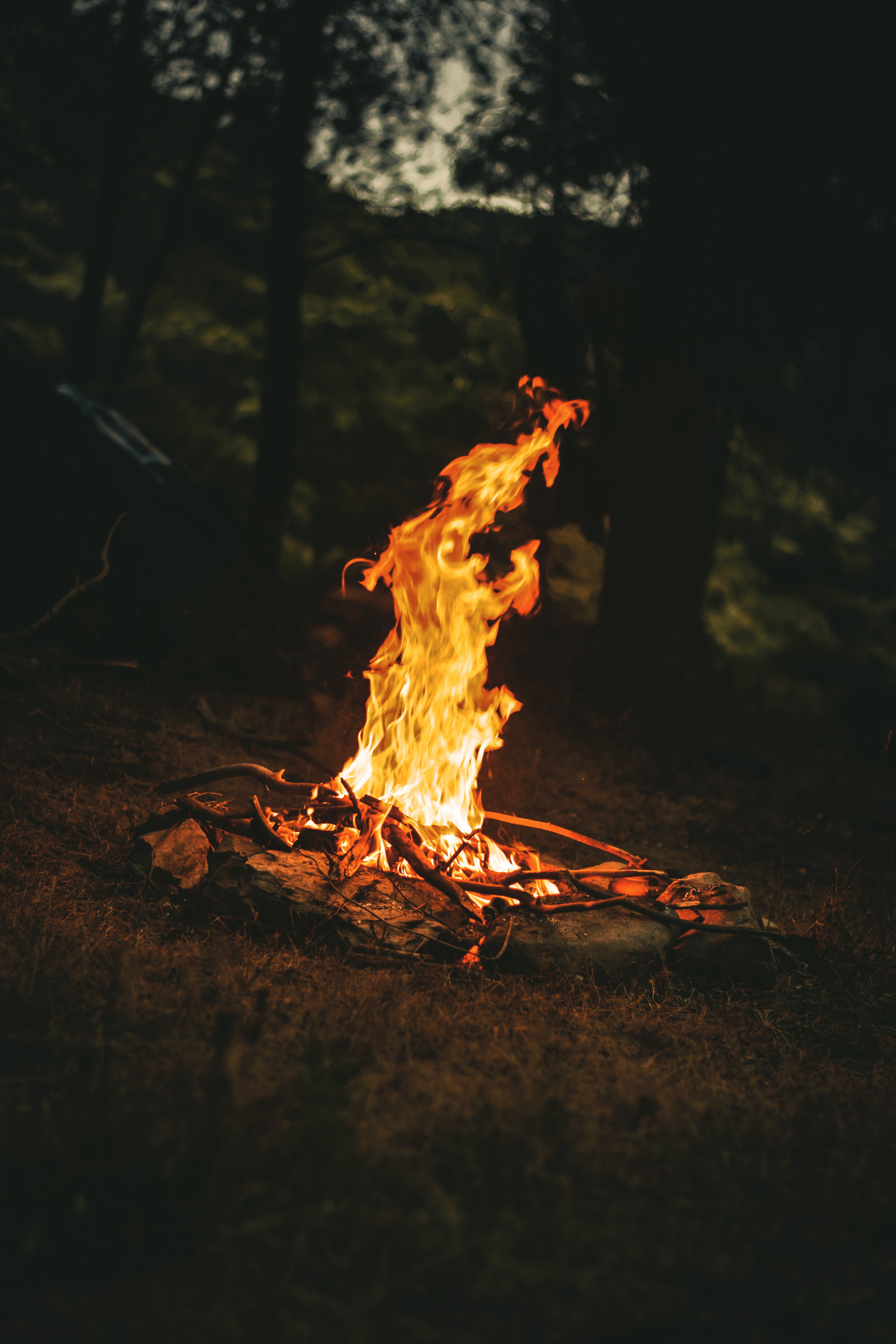 Campfire Photo, Download The BEST Free Campfire & HD Image