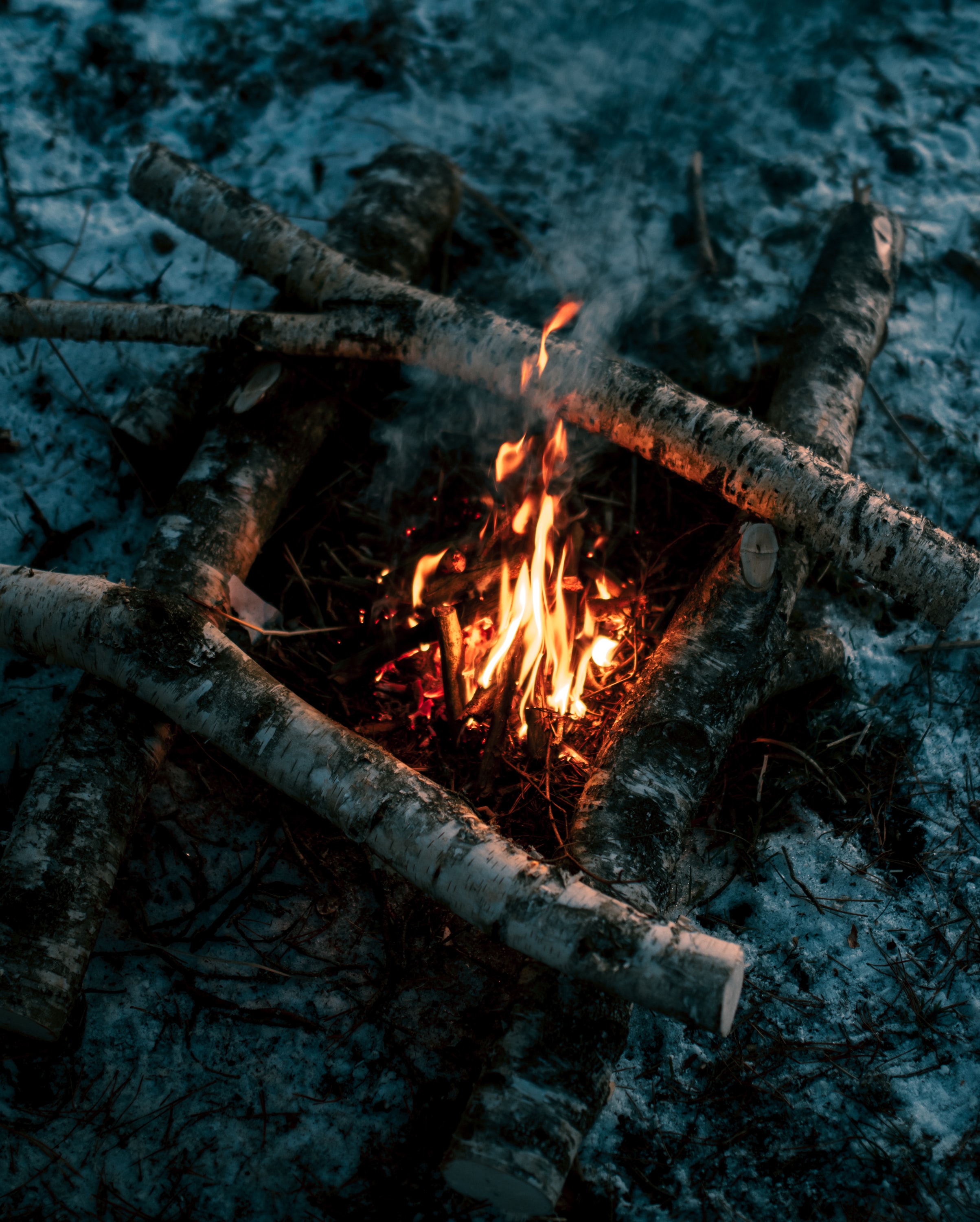 Download Bonfire wallpaper for mobile phone, free Bonfire HD picture