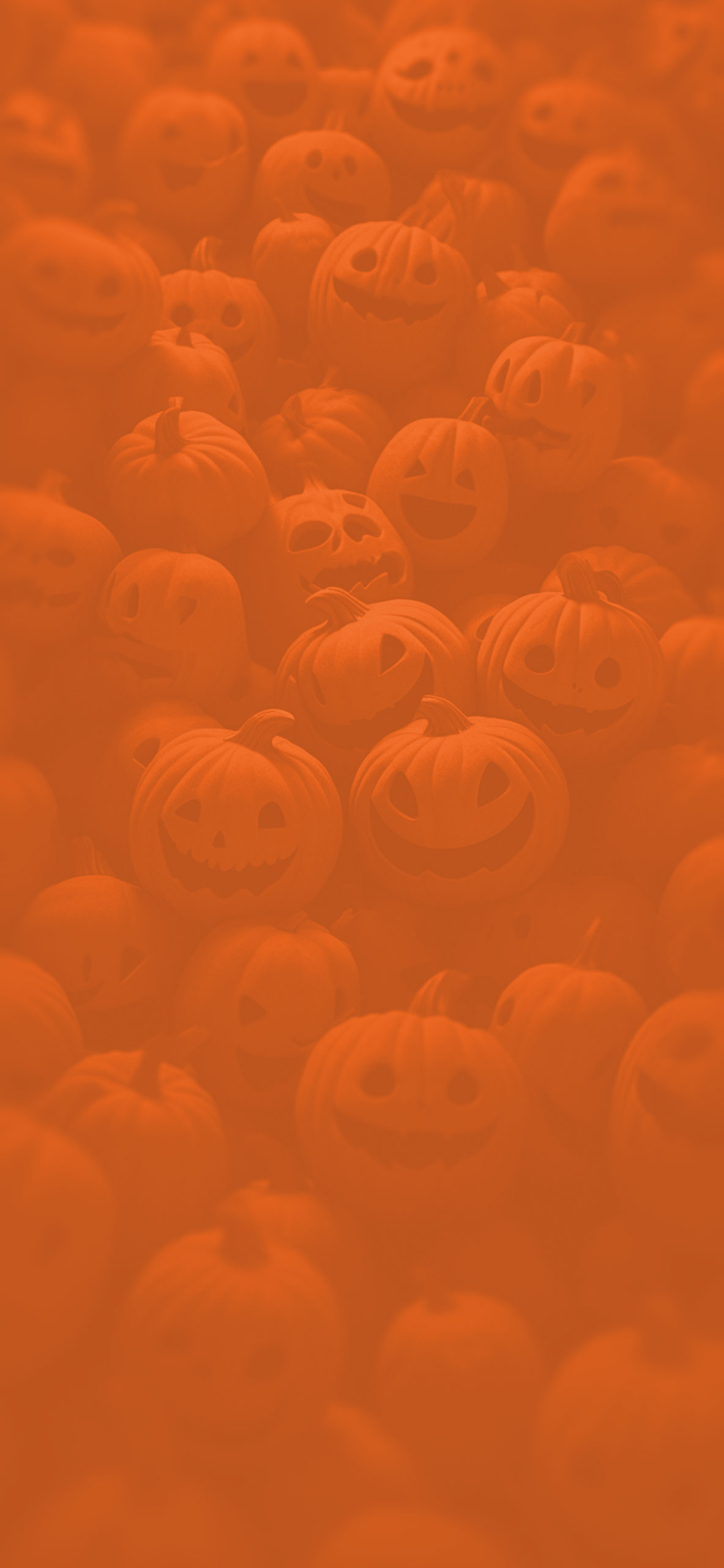 Funny Halloween Wallpaper Halloween Pumpkin Wallpaper