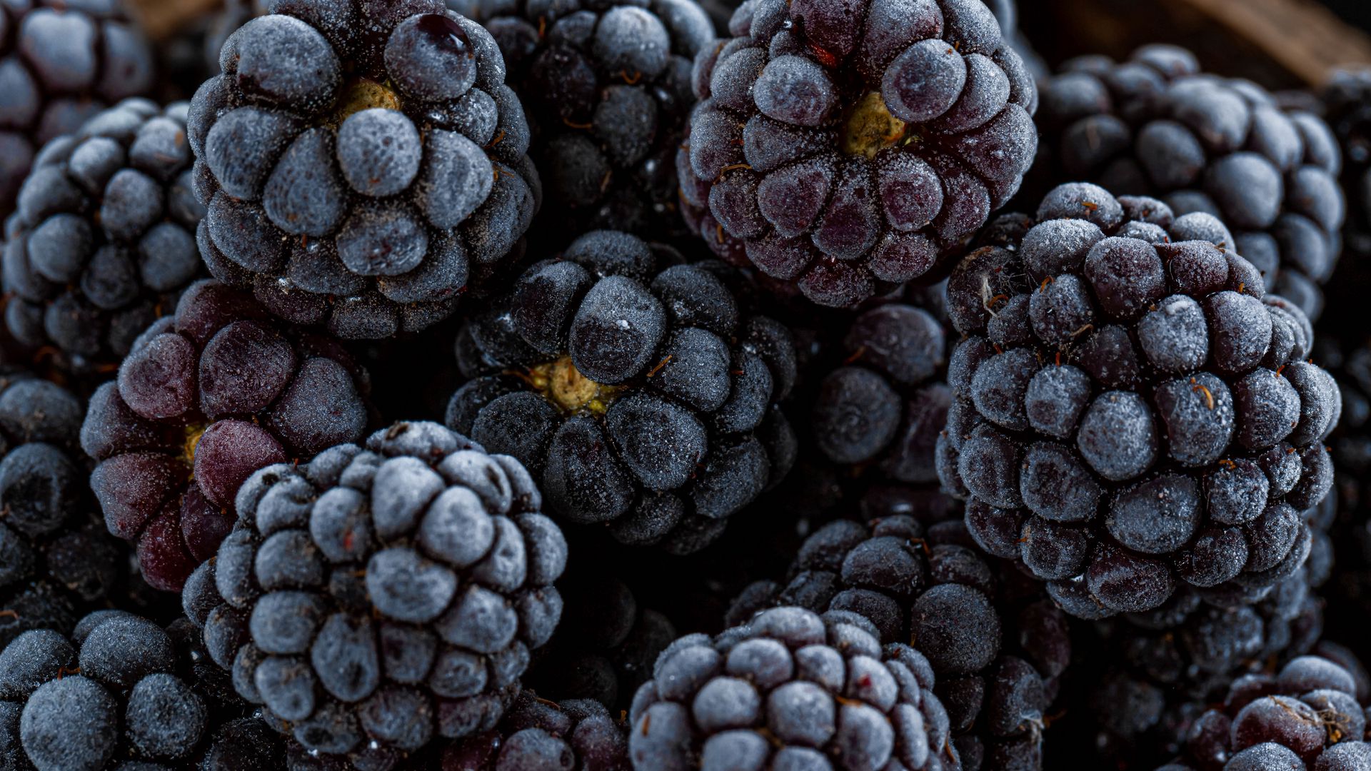Download wallpaper 1920x1080 blackberry, berry, fruit, macro full hd, hdtv, fhd, 1080p HD background
