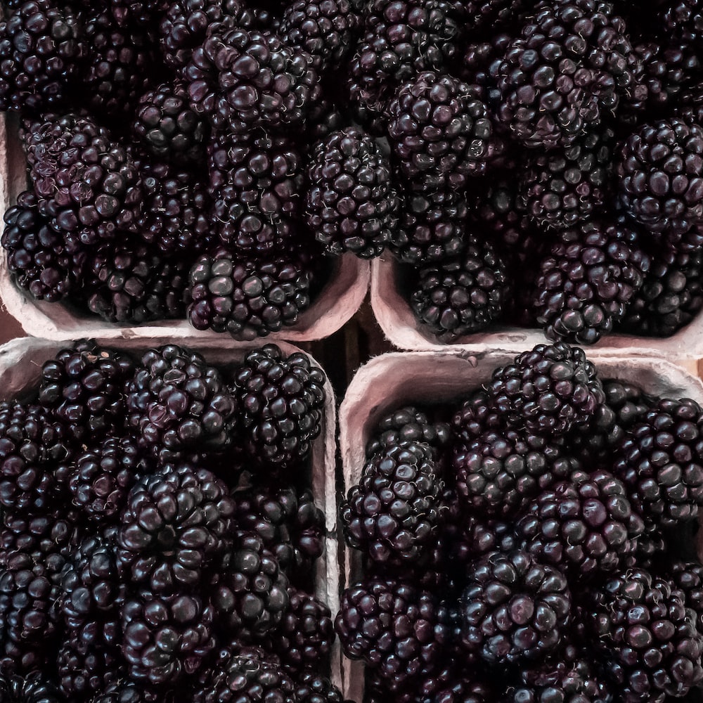50,Blackberries Picture. Download Free Image