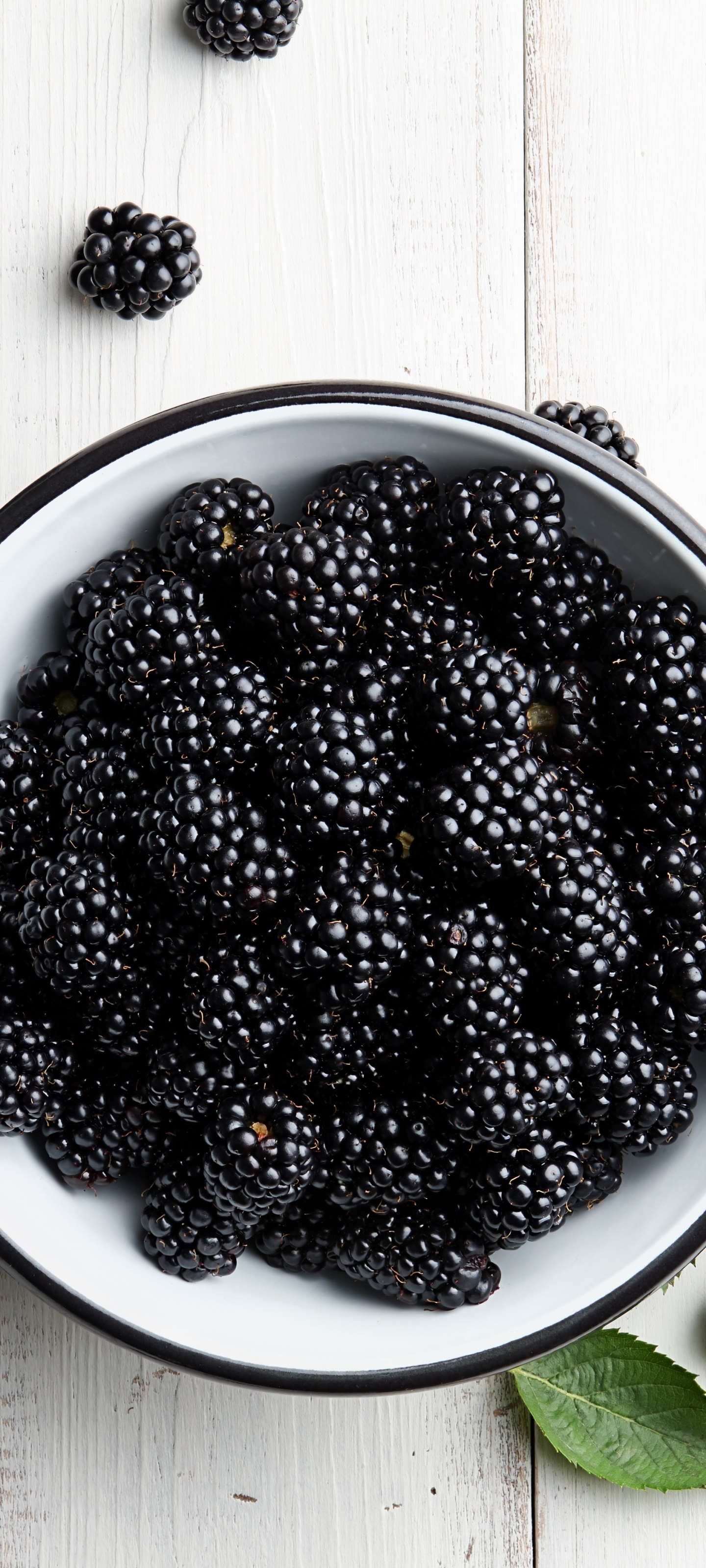 Wallpaper / Food Blackberry Phone Wallpaper, Fruit, Berry, 1440x3200 free download