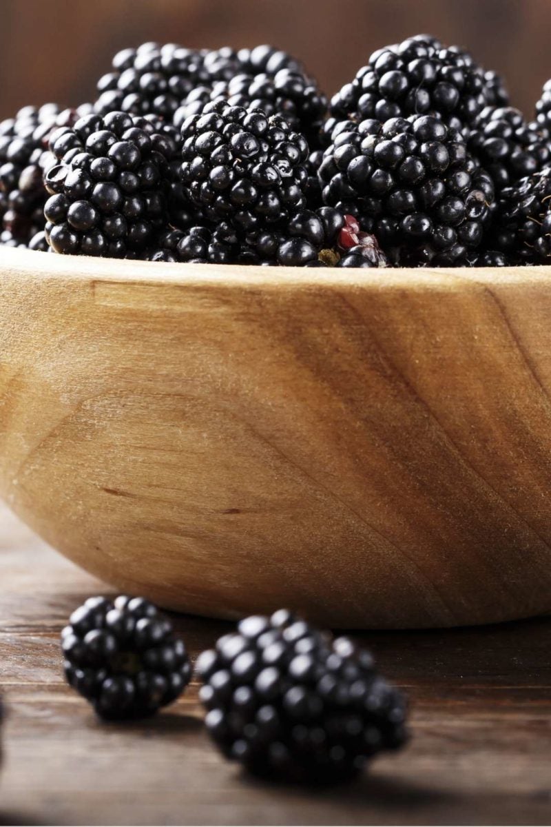 benefits of blackberries for your health