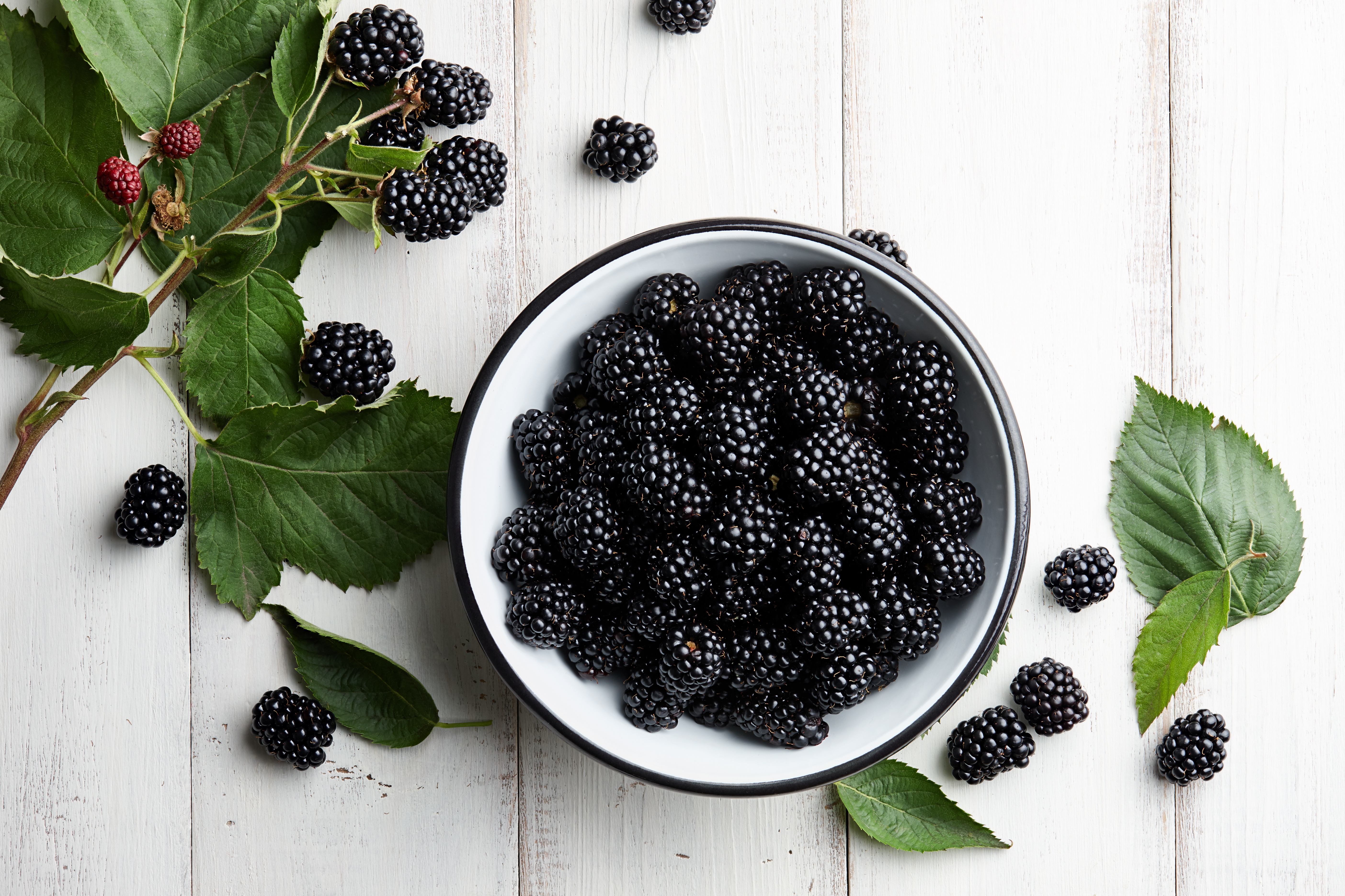 HD desktop wallpaper: Food, Blackberry, Berry, Fruit download free picture