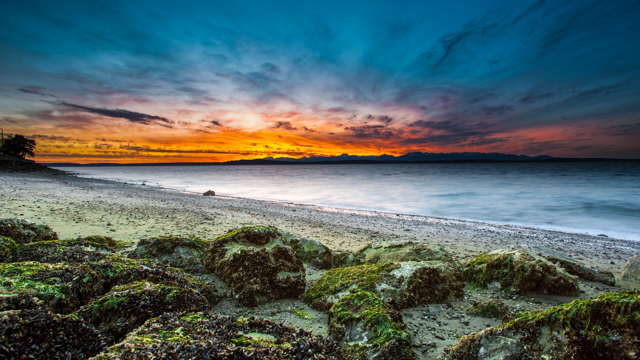 Alki Beach Wallpaper 4K, West Seattle, Washington