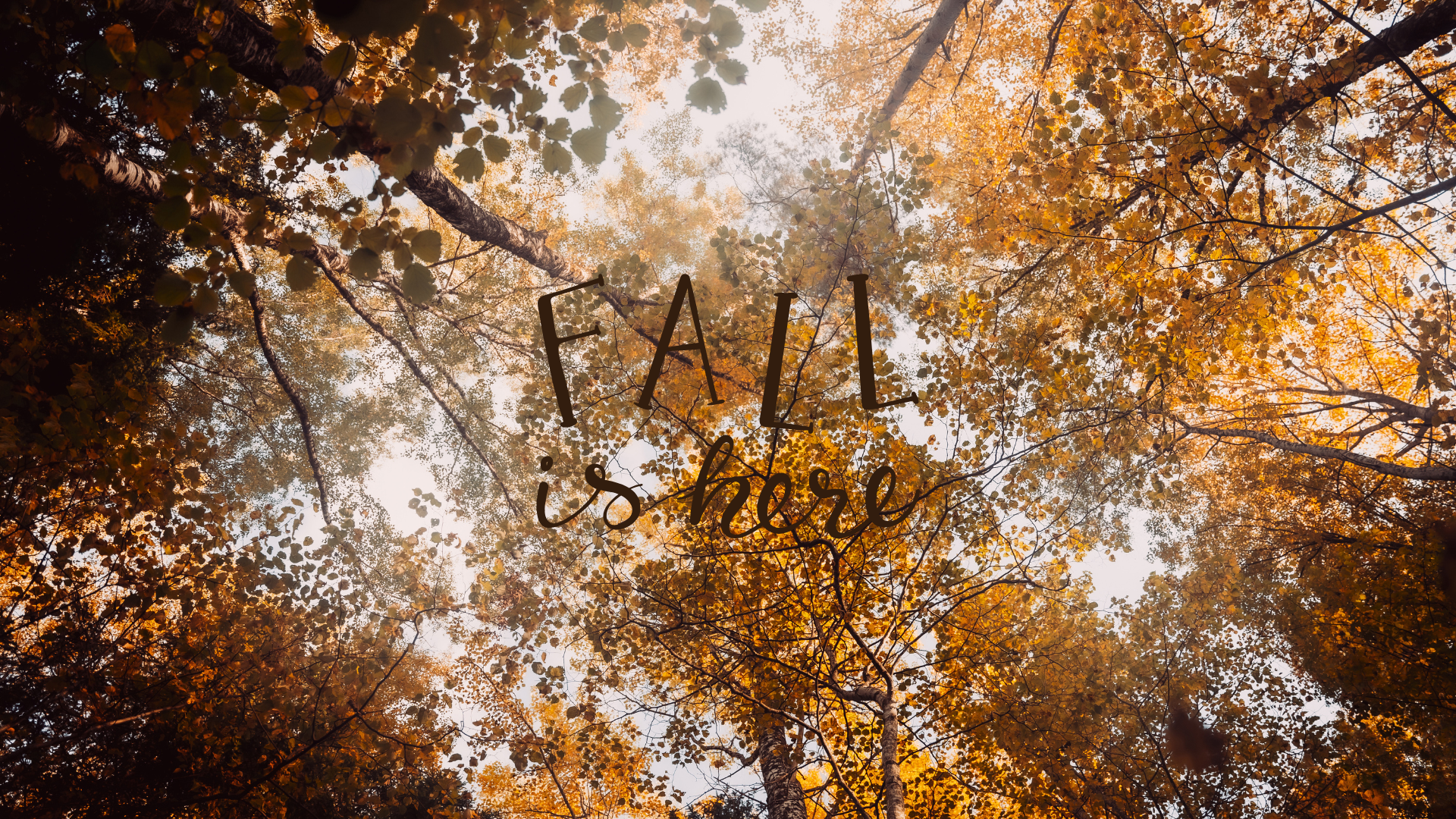 FREE Aesthetic Fall Wallpaper iPhone and Desktop