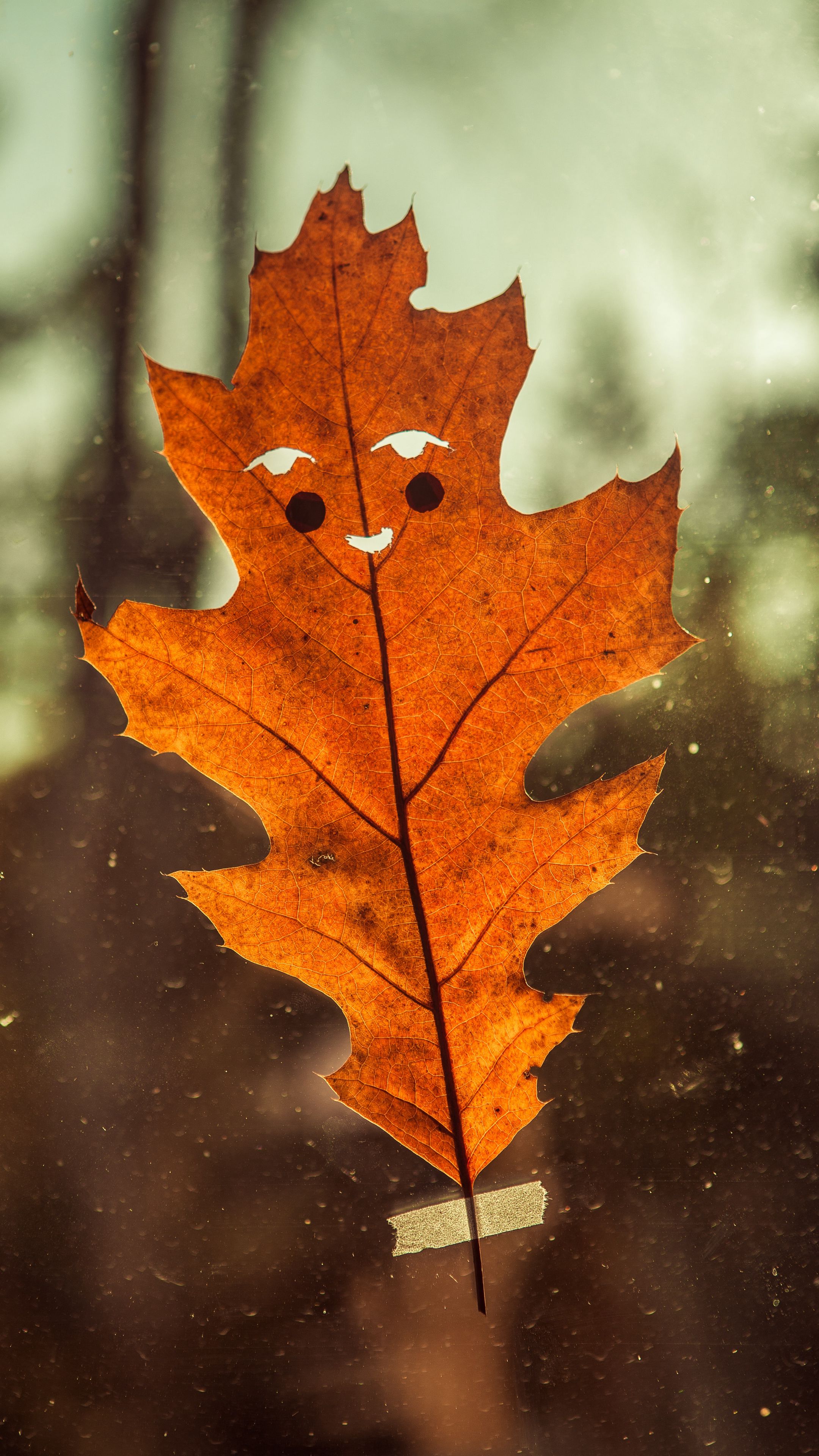 Download wallpaper 2160x3840 leaf, funny, autumn, smile samsung galaxy s4, s5, note, sony xperia z, z1, z2, z3, htc one, lenovo vibe HD background