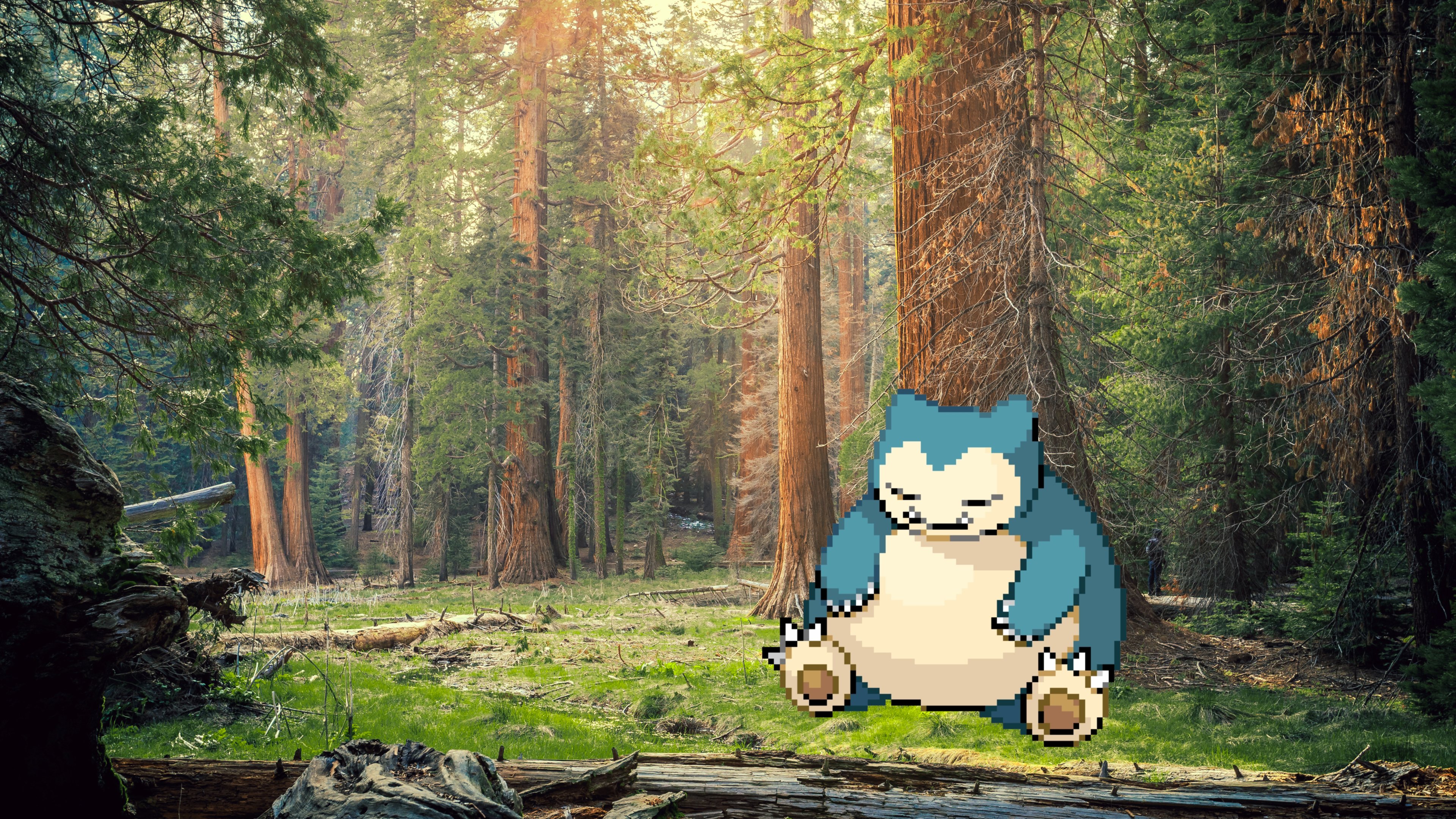 Snorlax Wallpaper for mobile phone, tablet, desktop computer and other  devices HD and 4K wallpapers. | Pokemon backgrounds, Cute pokemon wallpaper,  Pokemon snorlax