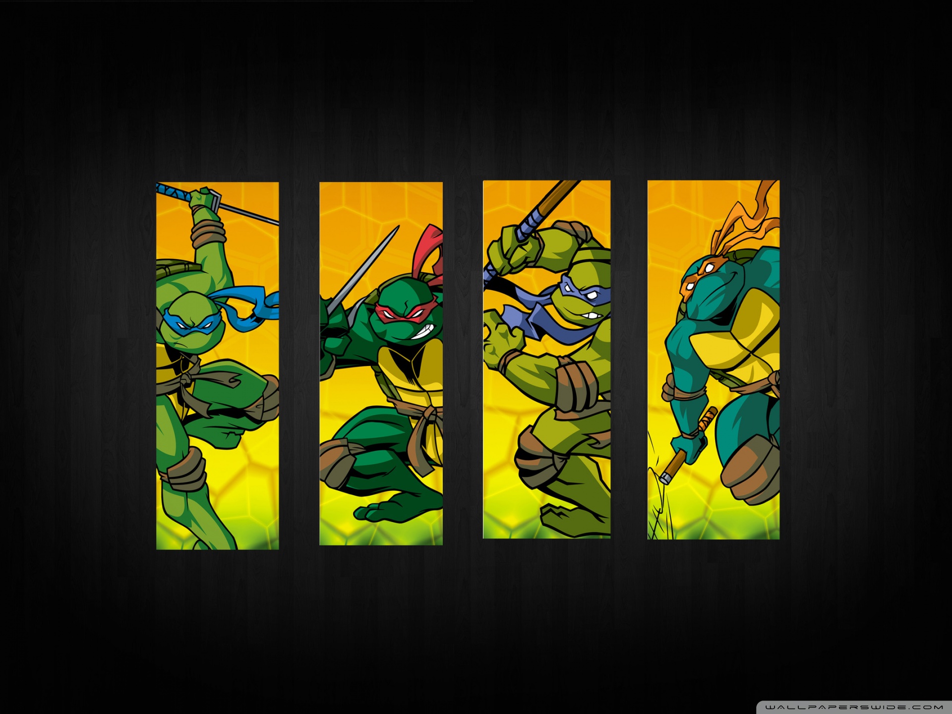 Teenage Mutant Ninja Turtles Ultra HD Desktop Background Wallpaper for 4K UHD TV, Multi Display, Dual Monitor, Tablet