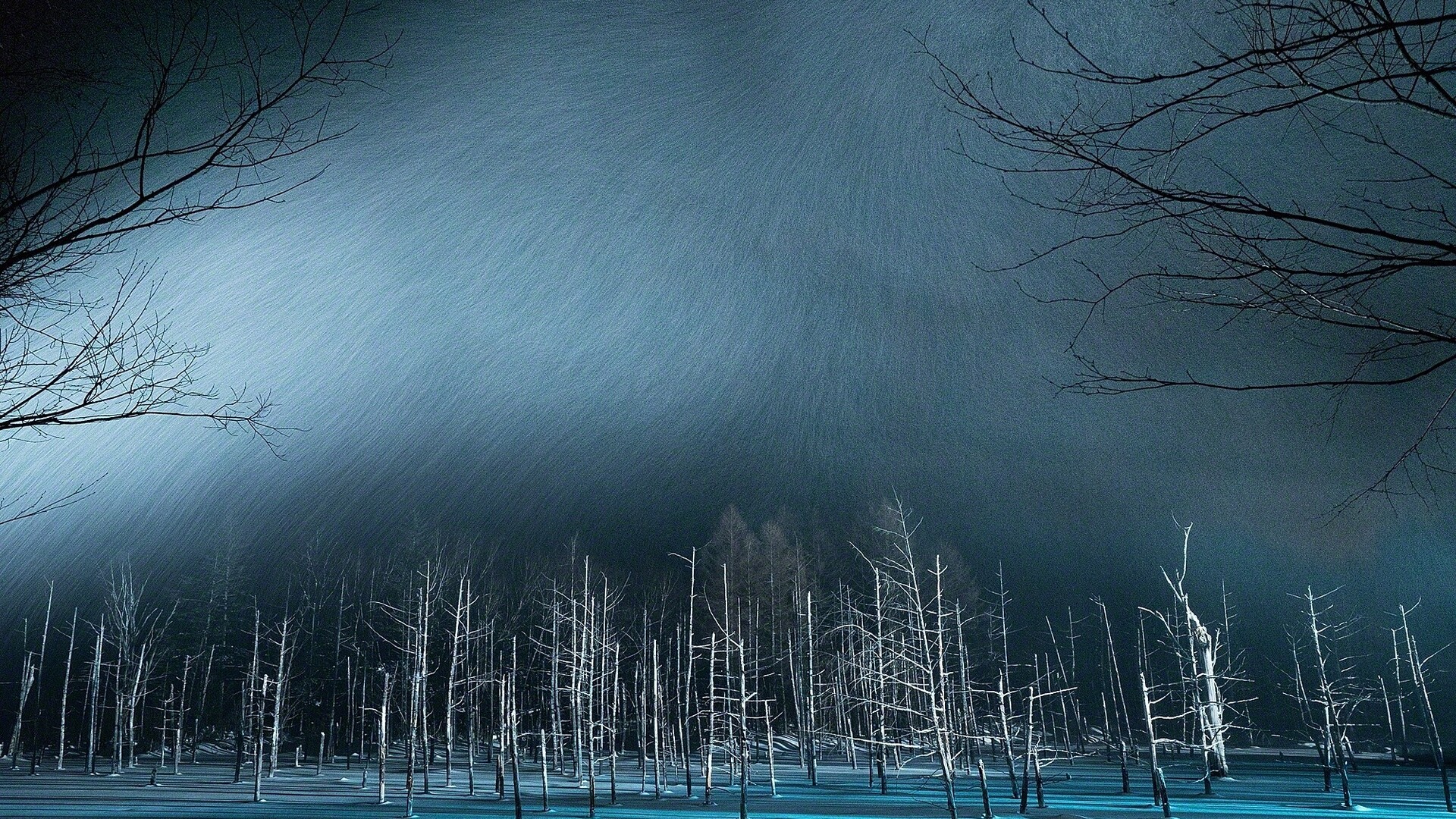 Winter Night Snow Trees Laptop Full HD 1080P HD 4k Wallpaper, Image, Background, Photo and Picture