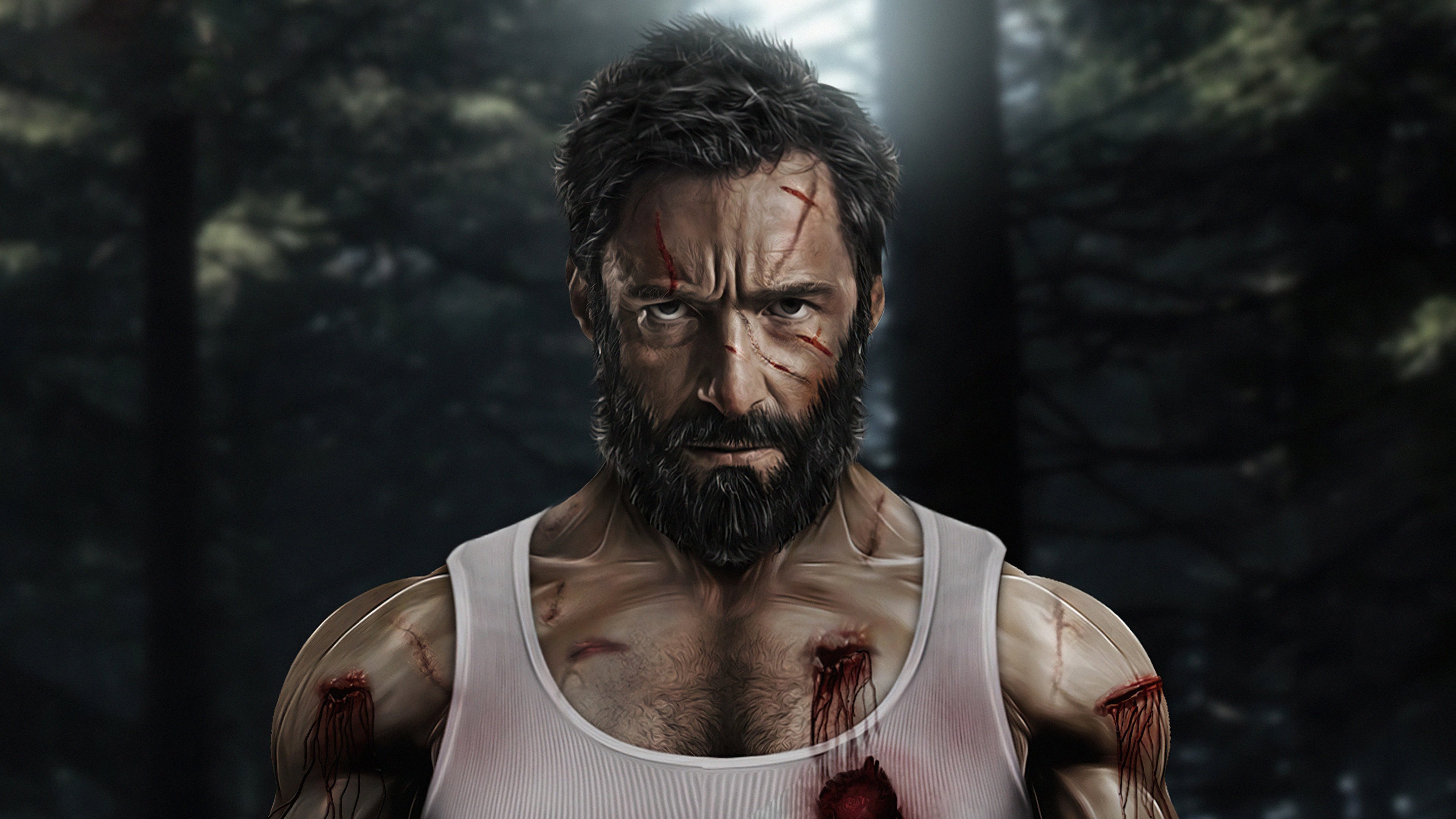 Logan X24 Wallpaper 4k Ultra HD