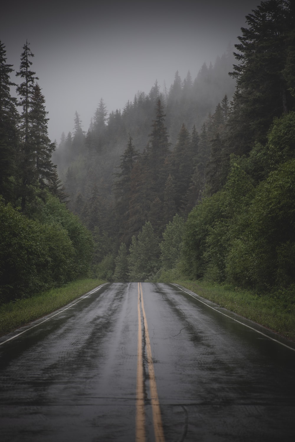 Rainy Road Picture. Download Free Image