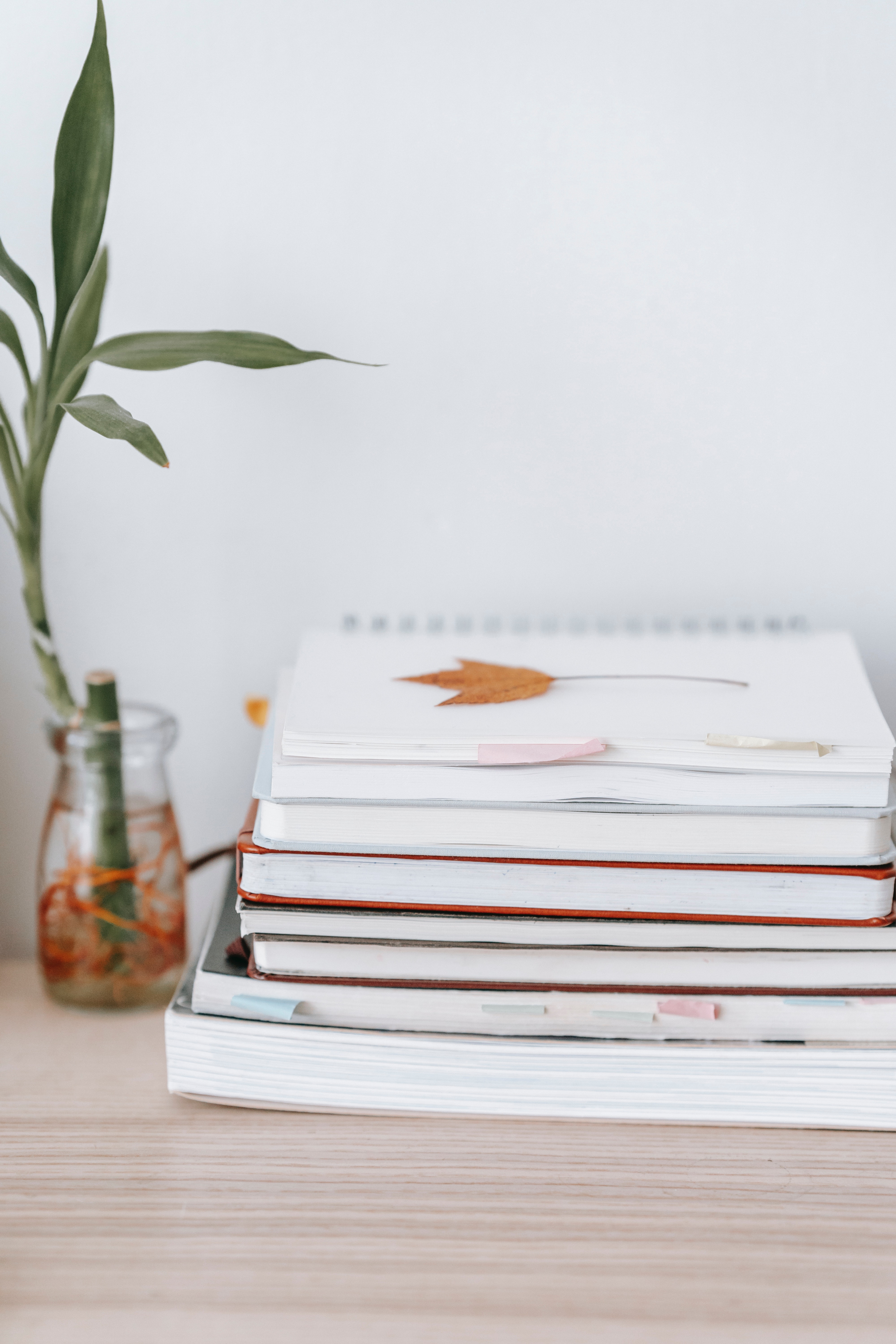 Lucky Bamboo Photo, Download The BEST Free Lucky Bamboo & HD Image