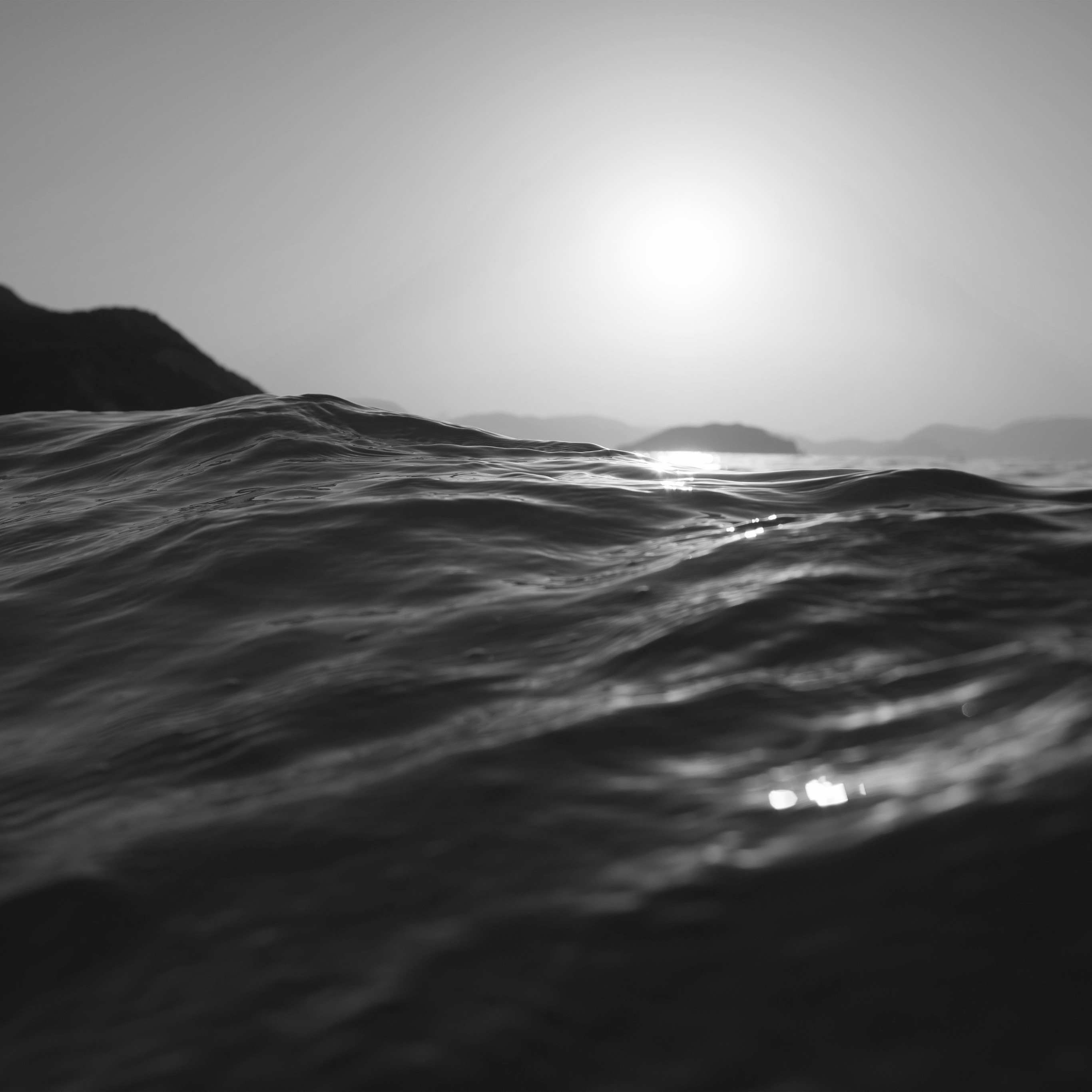 Sea Dive Wave Dark Summer Ocean Nature Bw Wallpaper