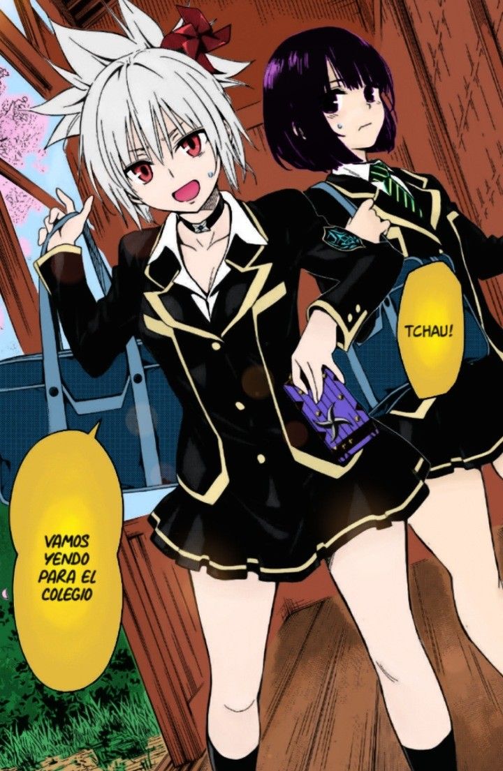 Ayakashi Triangle