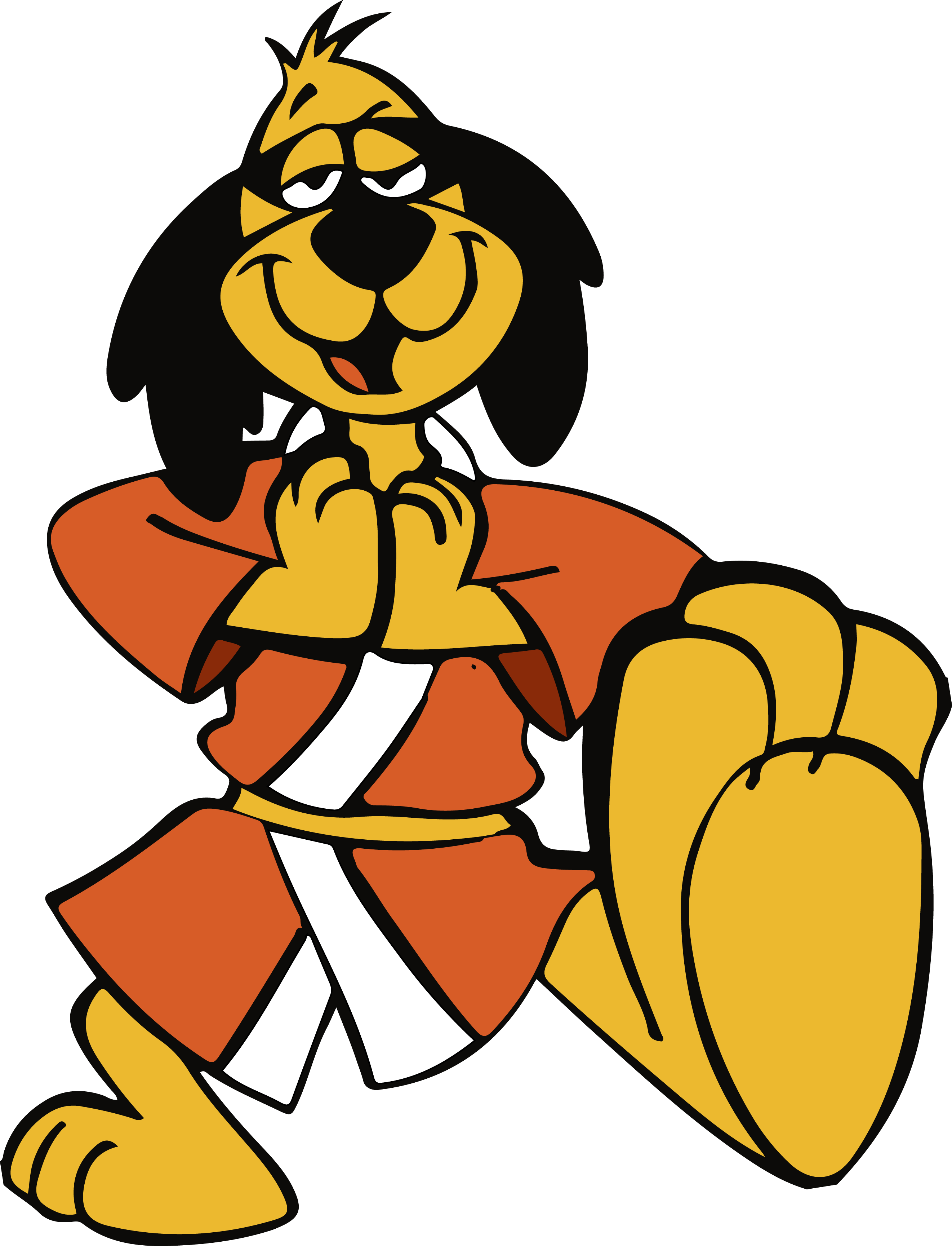 Hong Kong Phooey for Karate pics. Animated cartoons, Cartoons png, Cartoon drawings