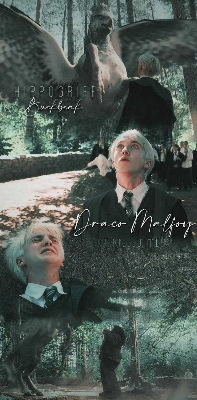 Draco Malfoy Wallpaper