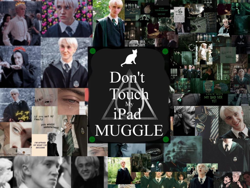 photos in my camera roll