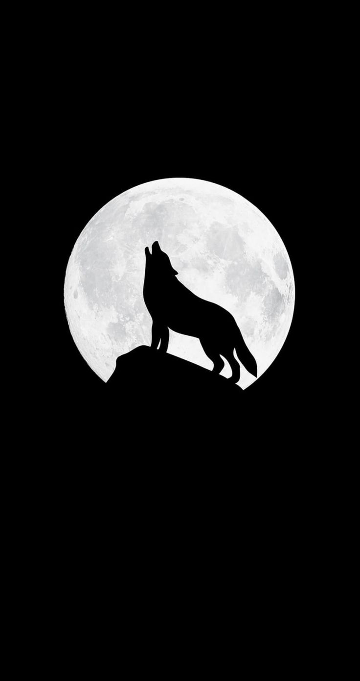 AMOLED Animal Wallpaper. Wolf wallpaper, Black wallpaper iphone dark, iPhone wallpaper wolf