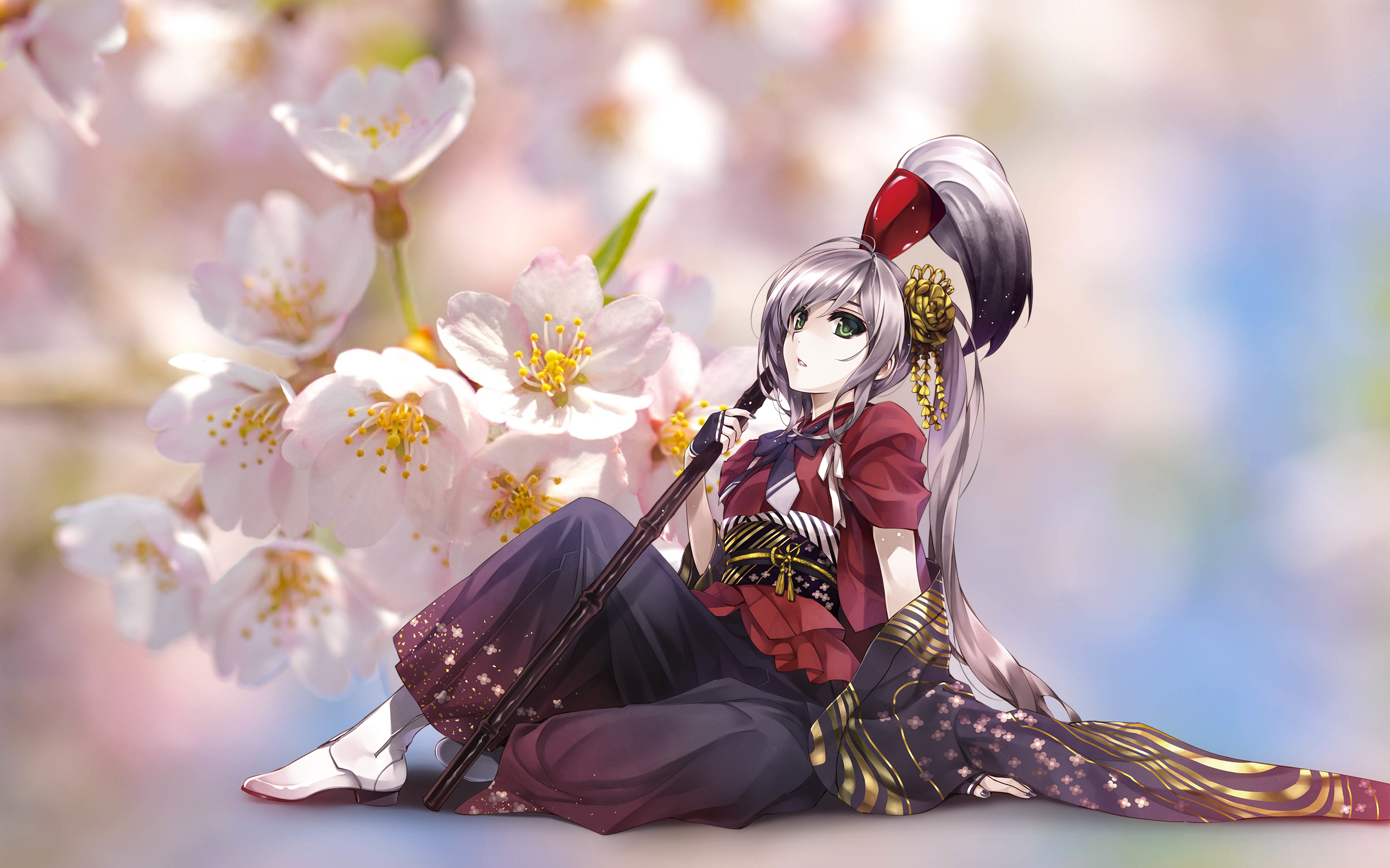 Cherry Blossom HD Wallpaper and Background