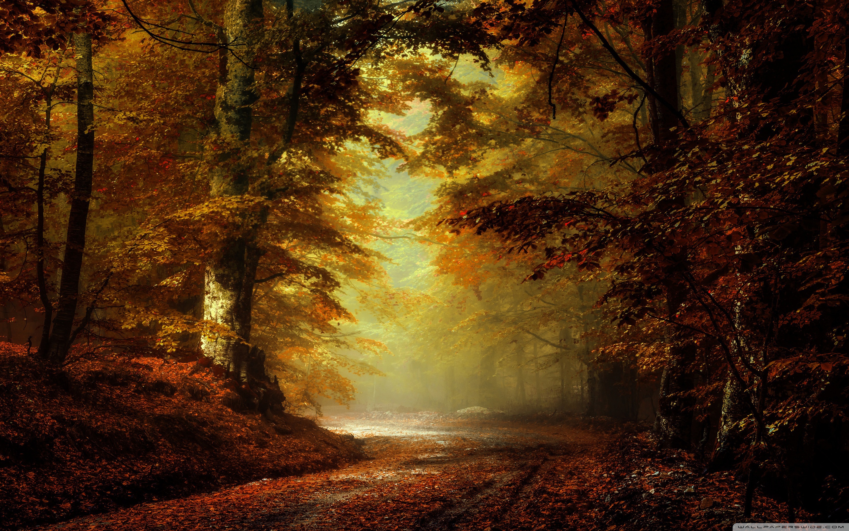 Beautiful Autumn Landscape Ultra HD Desktop Background Wallpaper for: Widescreen & UltraWide Desktop & Laptop, Multi Display, Dual Monitor, Tablet