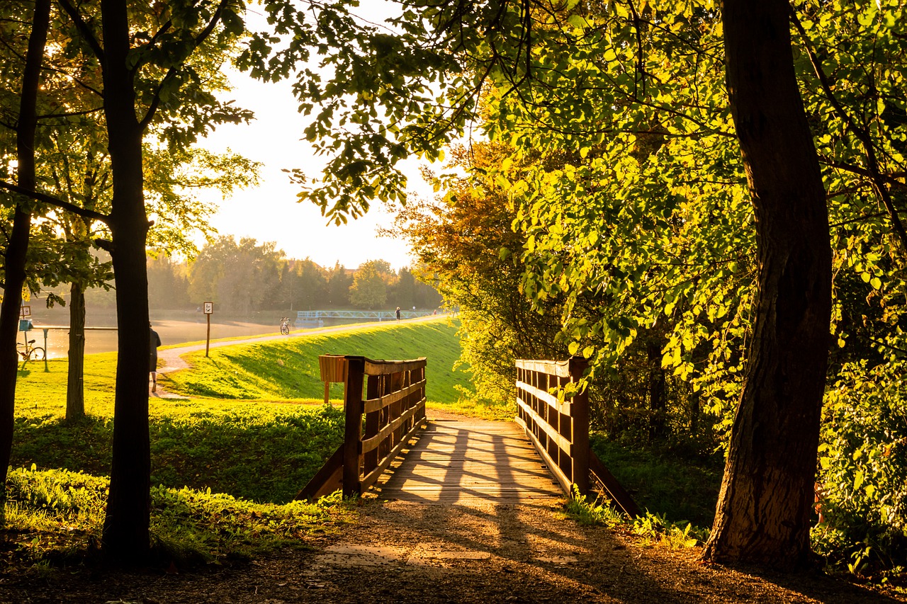 Fall Autumn Background