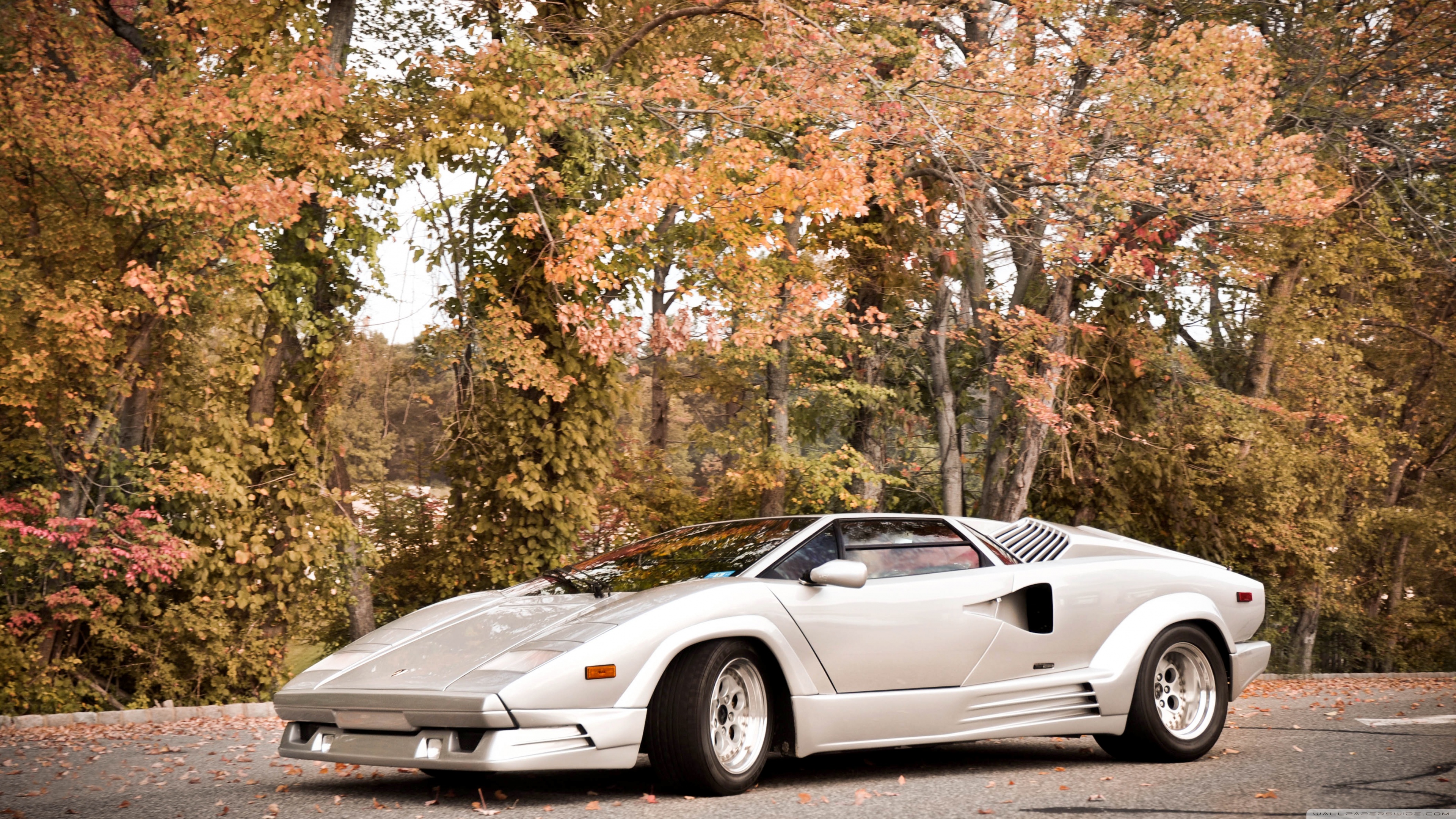 Lamborghini Countach Ultra HD Desktop Background Wallpaper for: Multi Display, Dual Monitor, Tablet