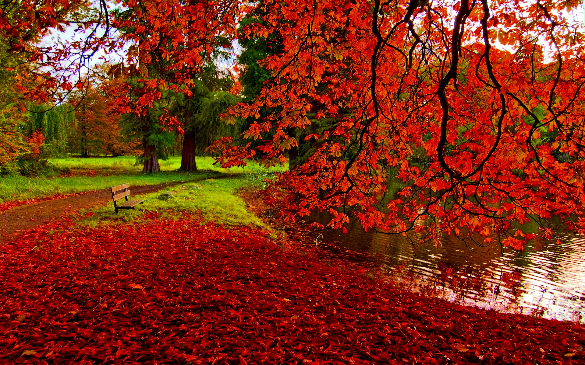 Autumn in the Park