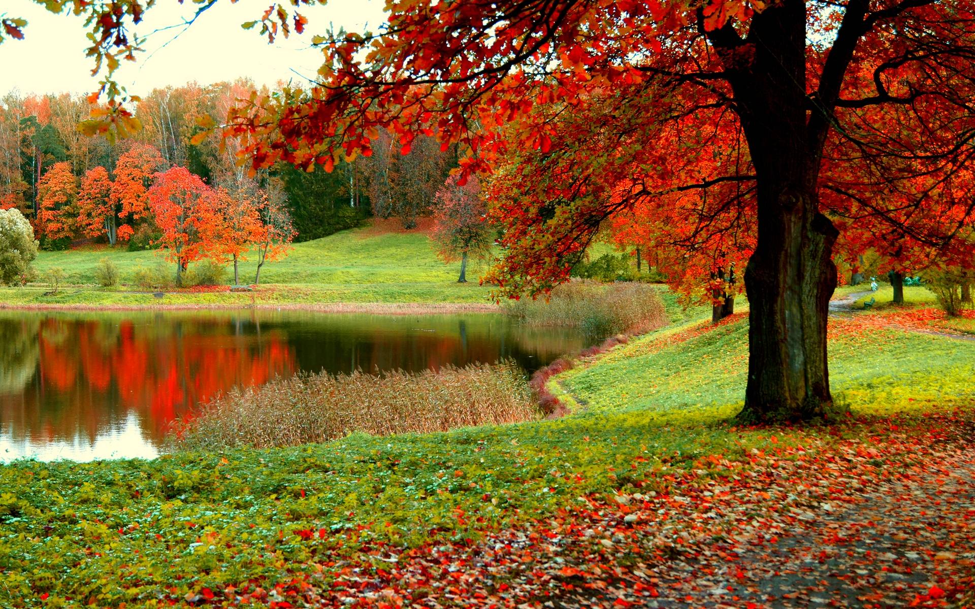Autumn Park