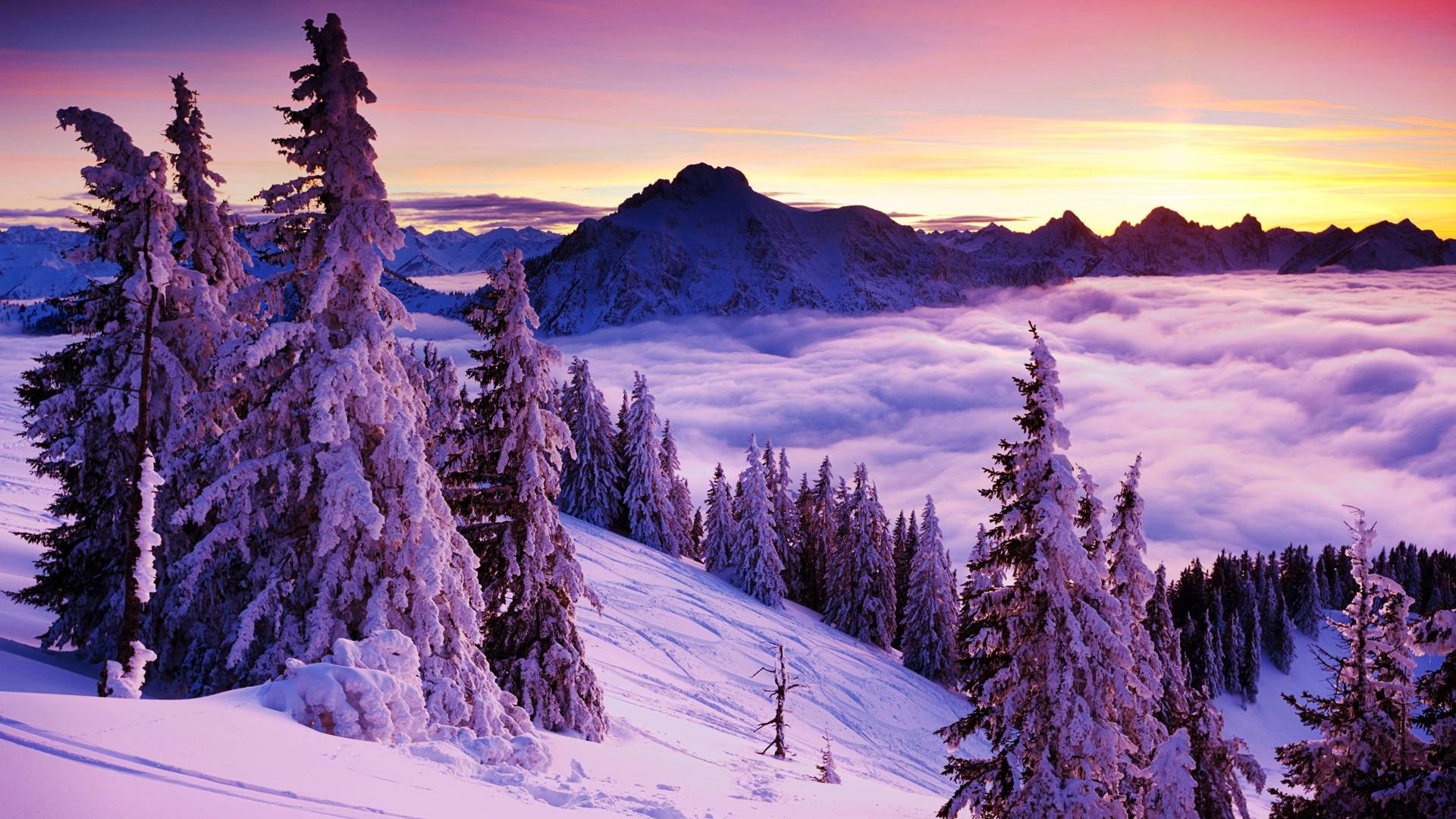 Wall Mural Beautiful Winter Landscape