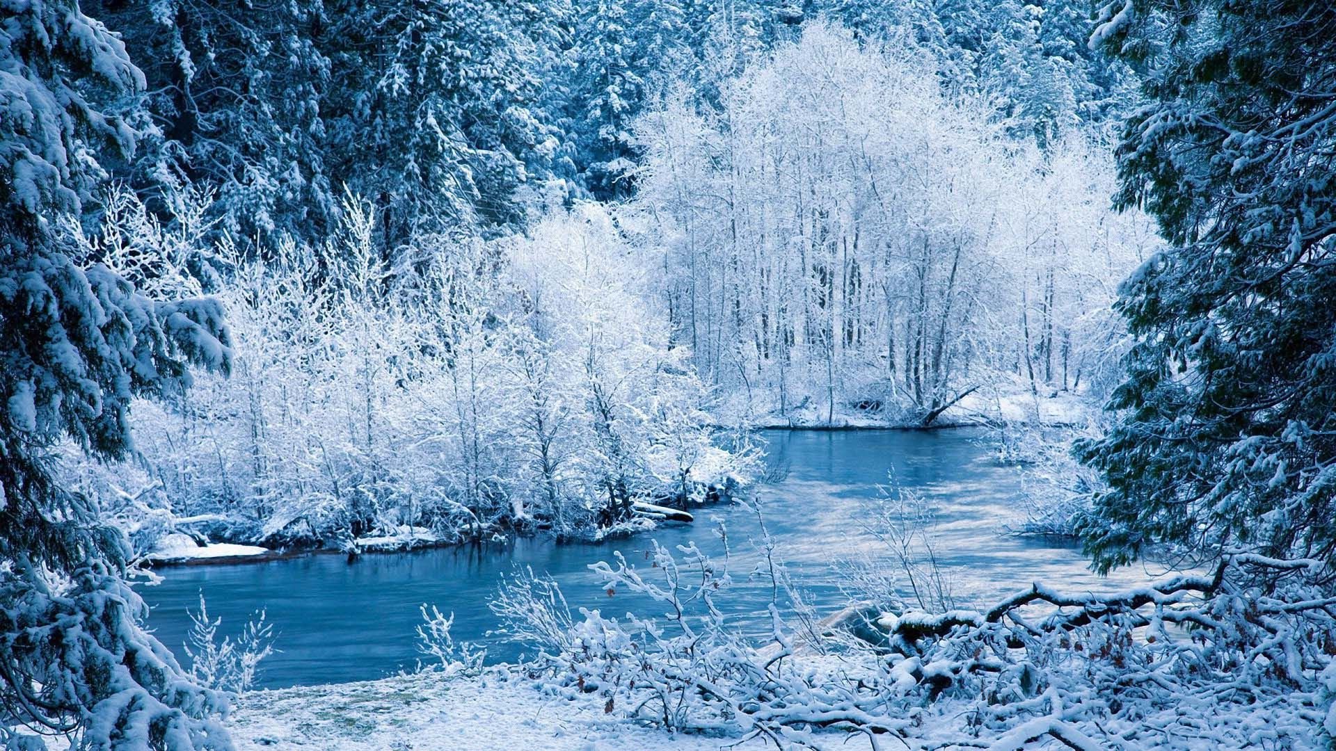Winter snow nature landscape wallpaperx1080