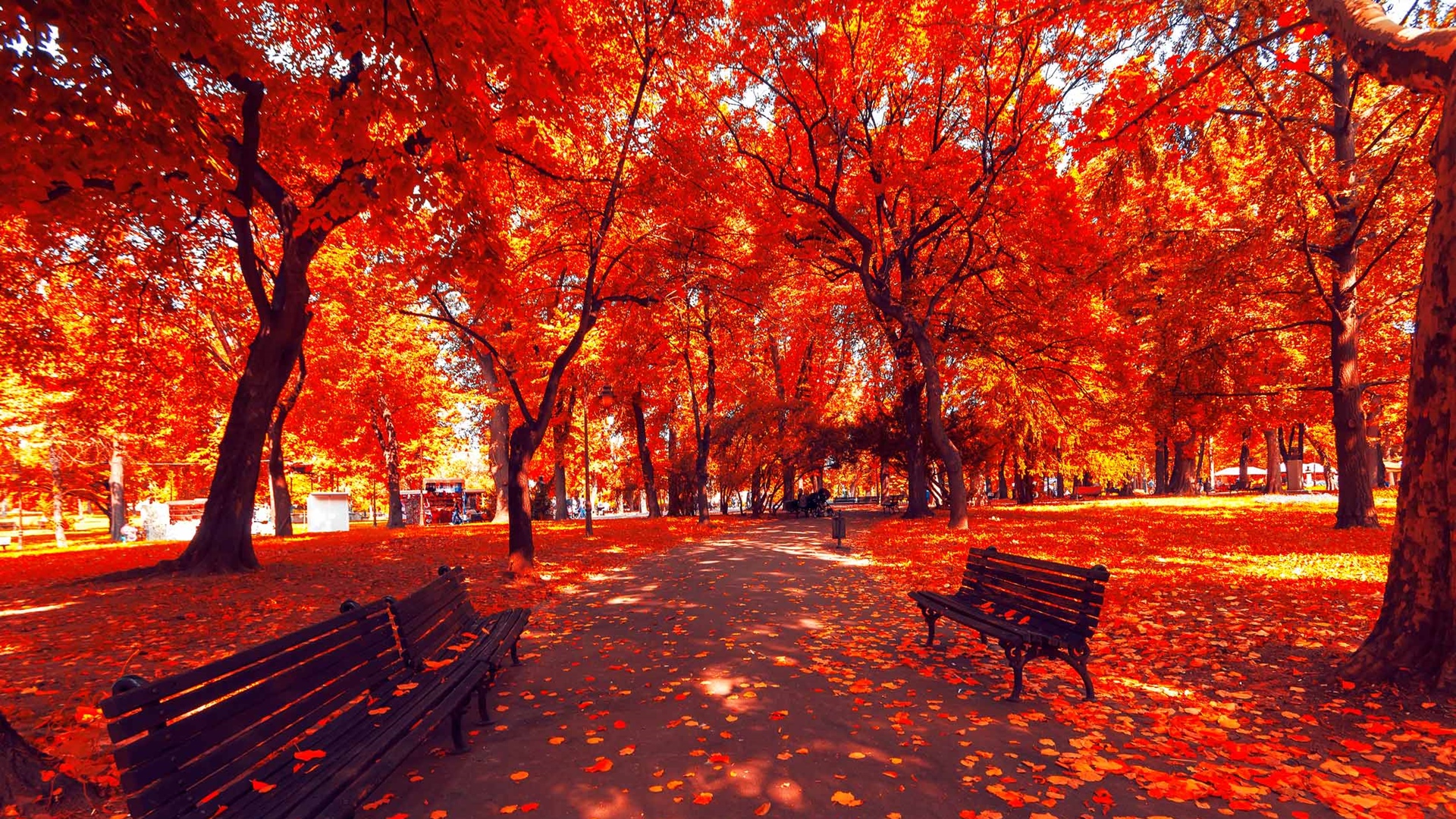 Autumn Park