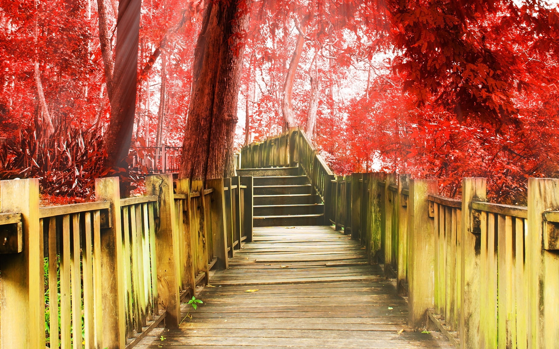 Wallpaper / Autumn, Trees, brown, Walkway, fence, Stairs, Red, wooden, 1080P, Park, Leaves, pathway free download