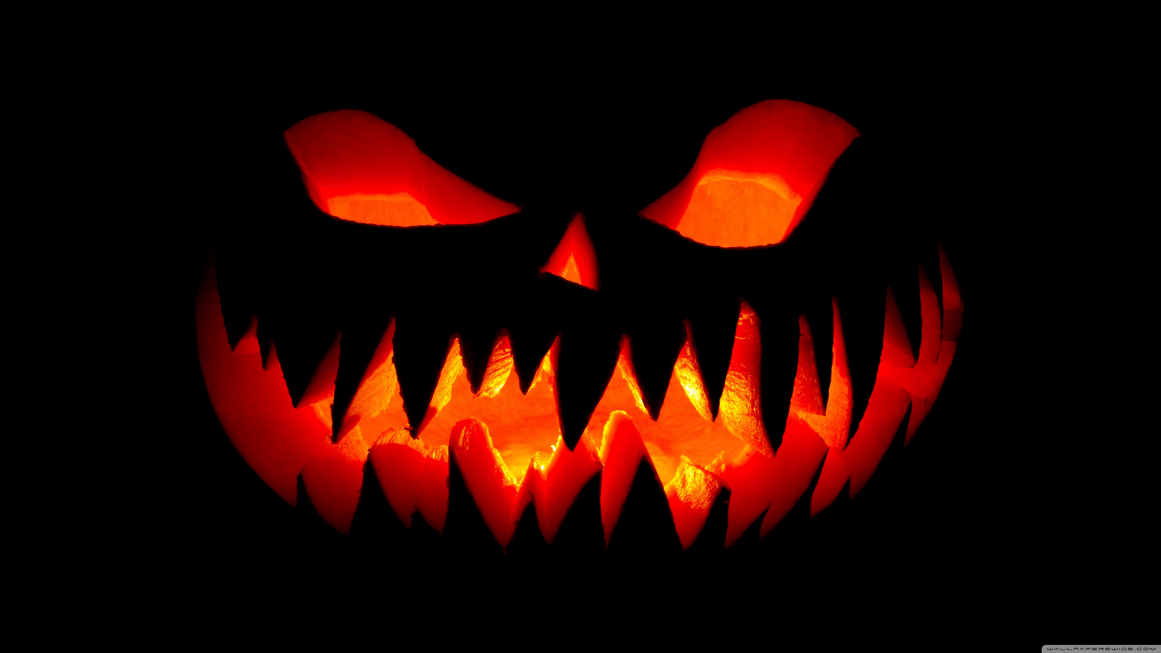 Happy Halloween 2019 Ultra HD Desktop Background Wallpaper for 4K UHD TV, Widescreen & UltraWide Desktop & Laptop, Multi Display, Dual Monitor, Tablet