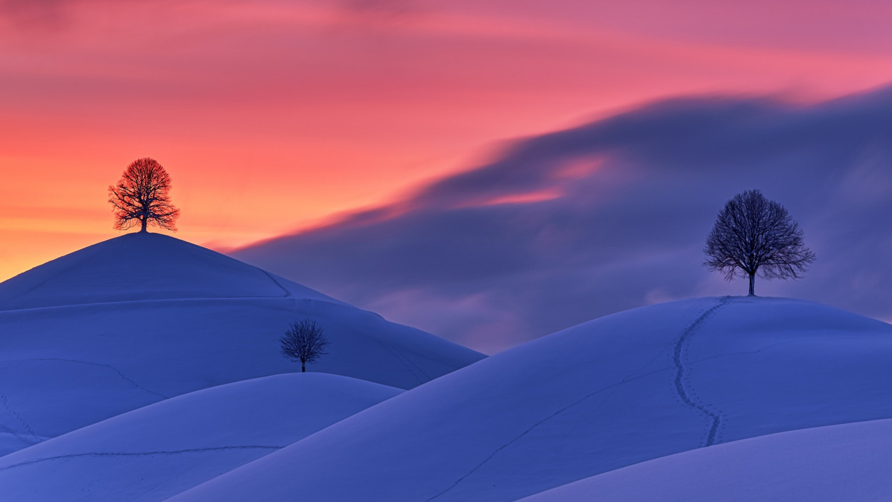 Download wallpaper twilight, sky, trees, landscape, nature, Sunset, winter, clouds, snow, hills, section landscapes in resolution 1280x720