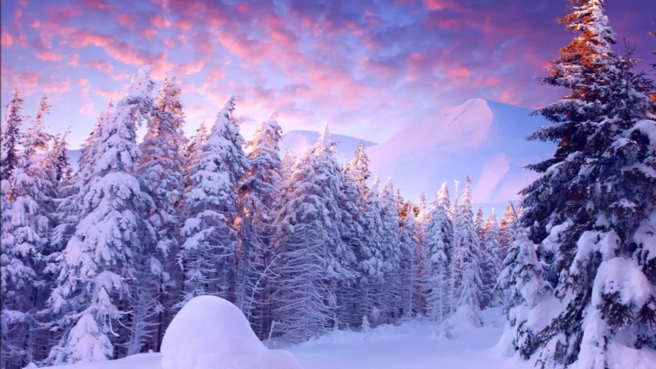 Andy Williams Wonderland. Winter wallpaper desktop, Winter background, Winter wallpaper