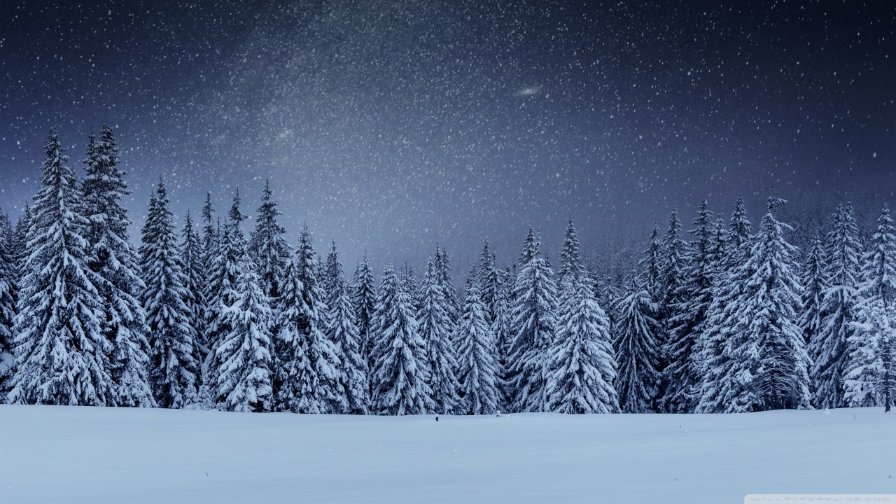 Beautiful Winter Night Ultra HD Desktop Background Wallpaper for 4K UHD TV, Widescreen & UltraWide Desktop & Laptop, Tablet