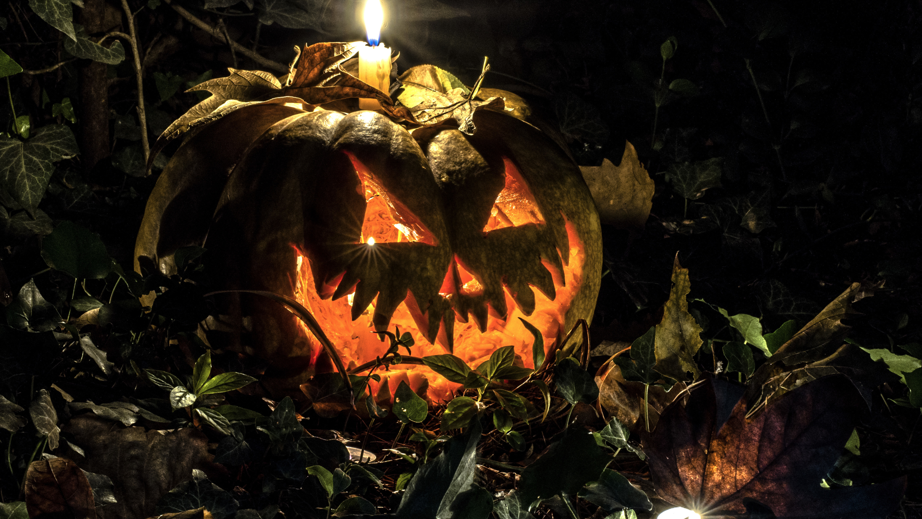 Halloween Wallpaper