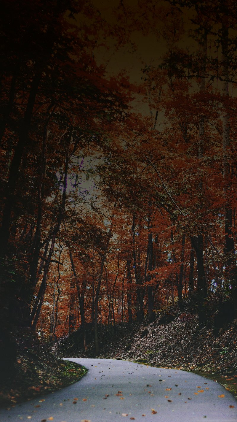 Wallpaper Autumn Image Wallpaper