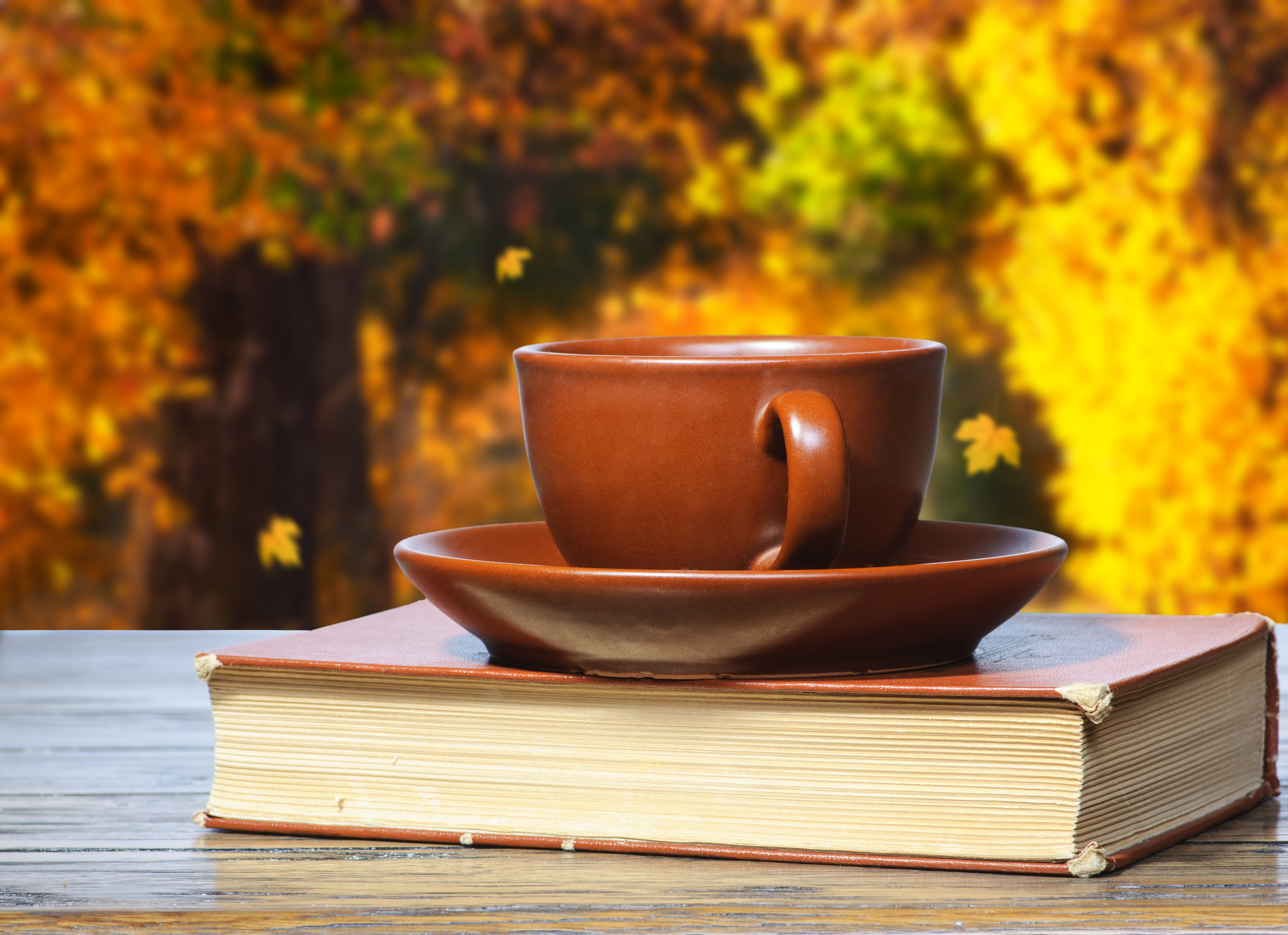 Autumn Books And Coffee Wallpapers - Wallpaper Cave, image size:3923x2848