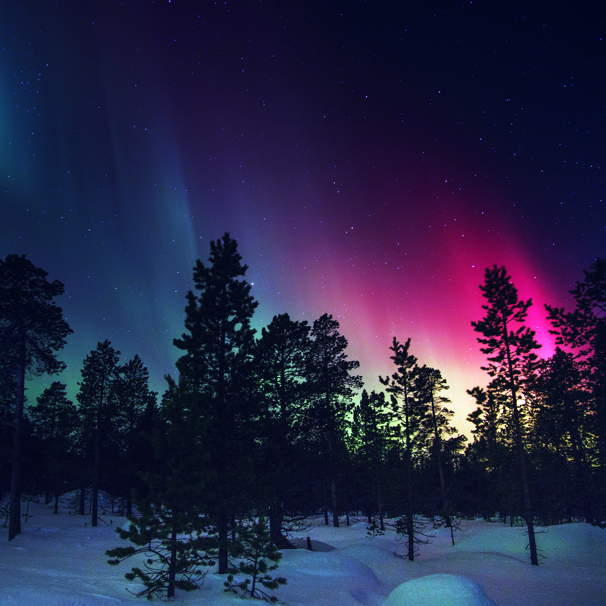 Android wallpaper. snow sky aurora night winter christmas blue