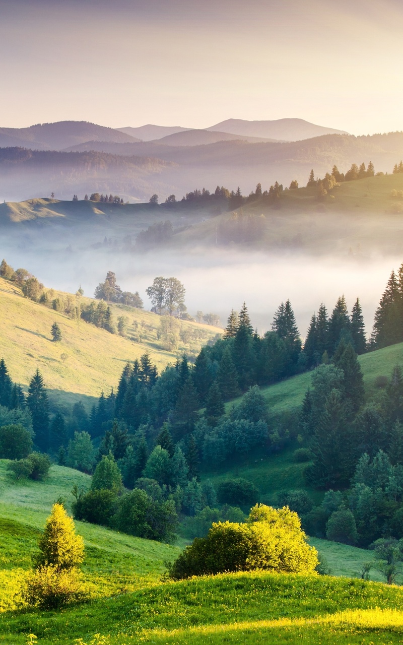 Nature Hills Trees Landscape Horizon Nexus 7, Samsung Galaxy Tab 10, Note Android Tablets HD 4k Wallpaper, Image, Background, Photo and Picture