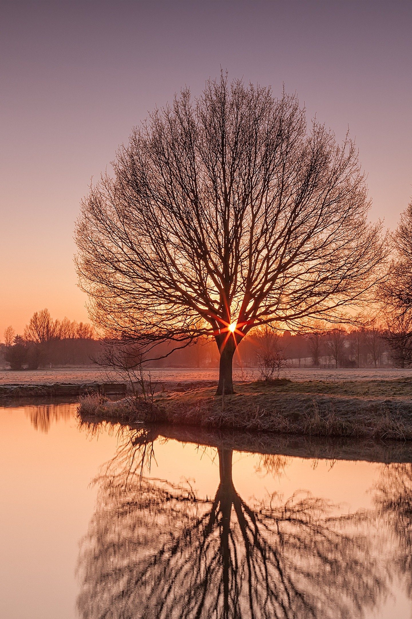 Sunset Trees Lake Dusk Reflection Nature 4K Wallpaper