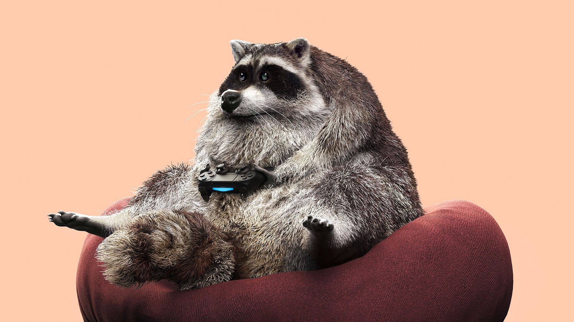 Download wallpaper 1920x1080 raccoon, joystick, funny, gamepad, game full hd, hdtv, fhd, 1080p HD background