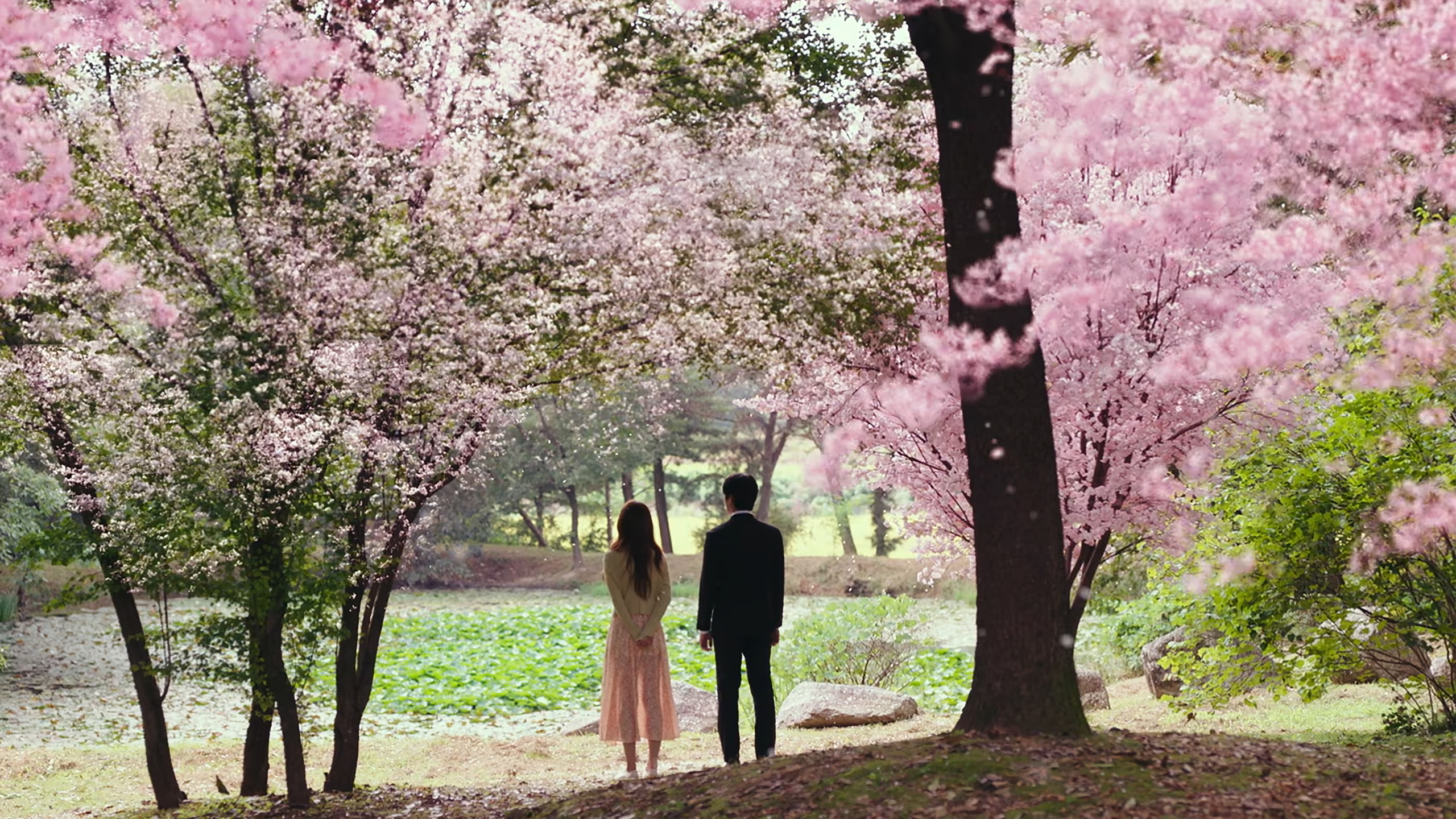 Mango Juice Dramabeans