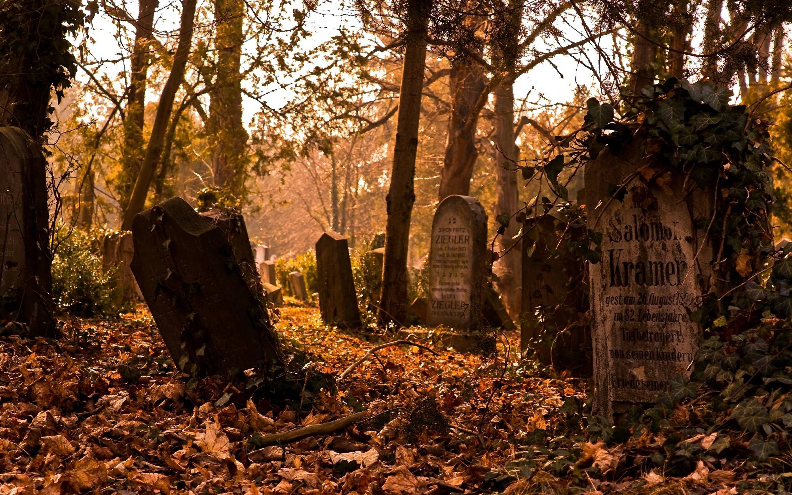 Download Graveyard In Fall Wallpaper