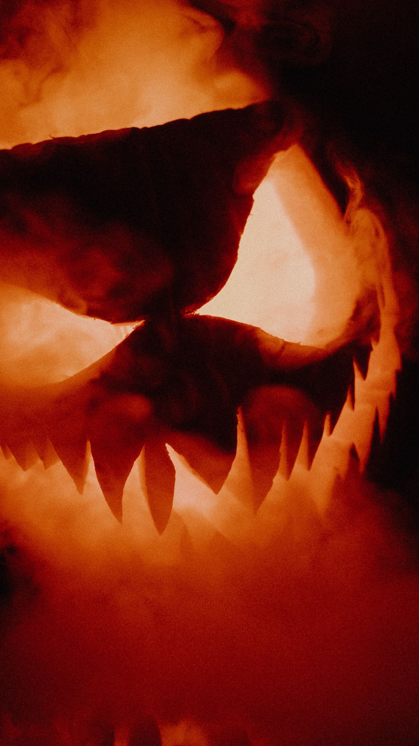Download wallpaper 1440x2560 halloween, pumpkin, smoke qhd samsung galaxy s6, s7, edge, note, lg g4 HD background