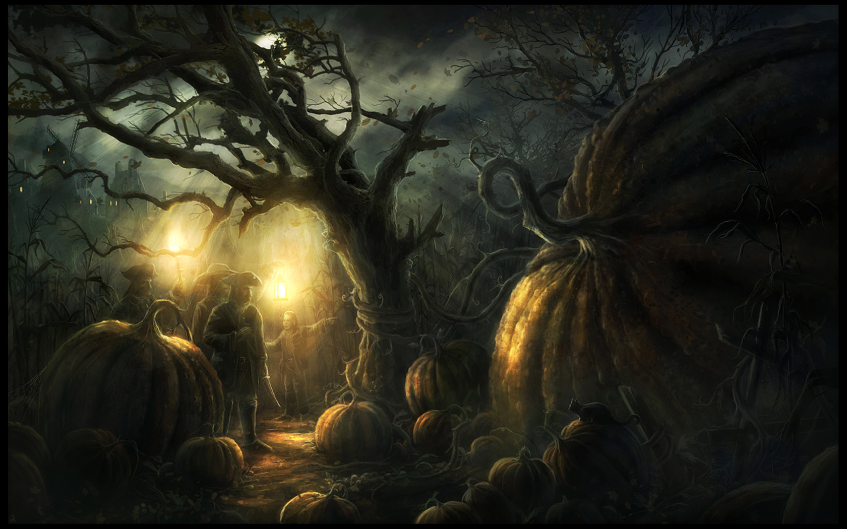 Giant Pumpkins HD Wallpaper